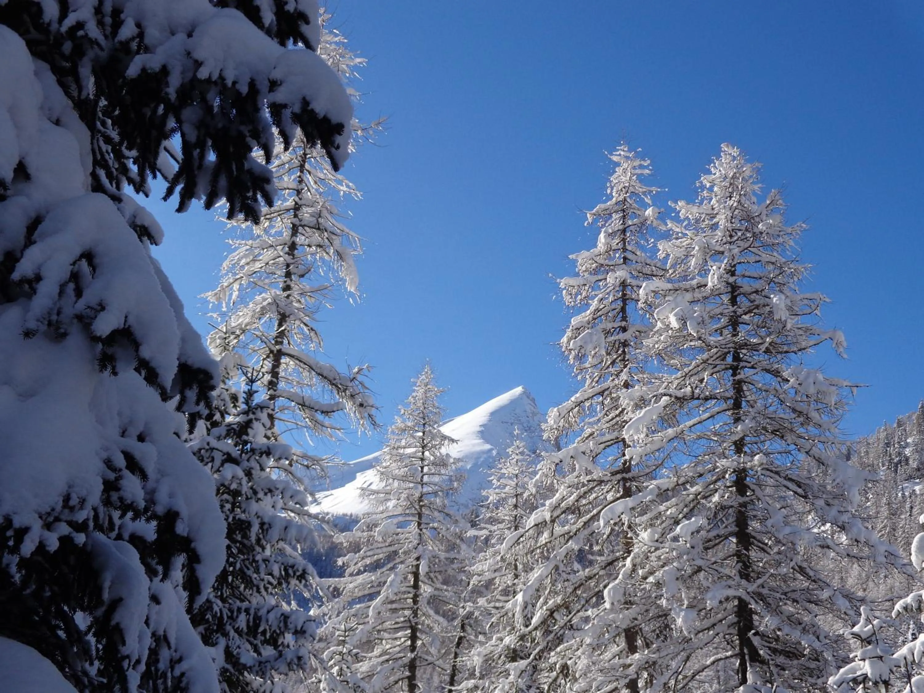 Property building in Hotel Albe