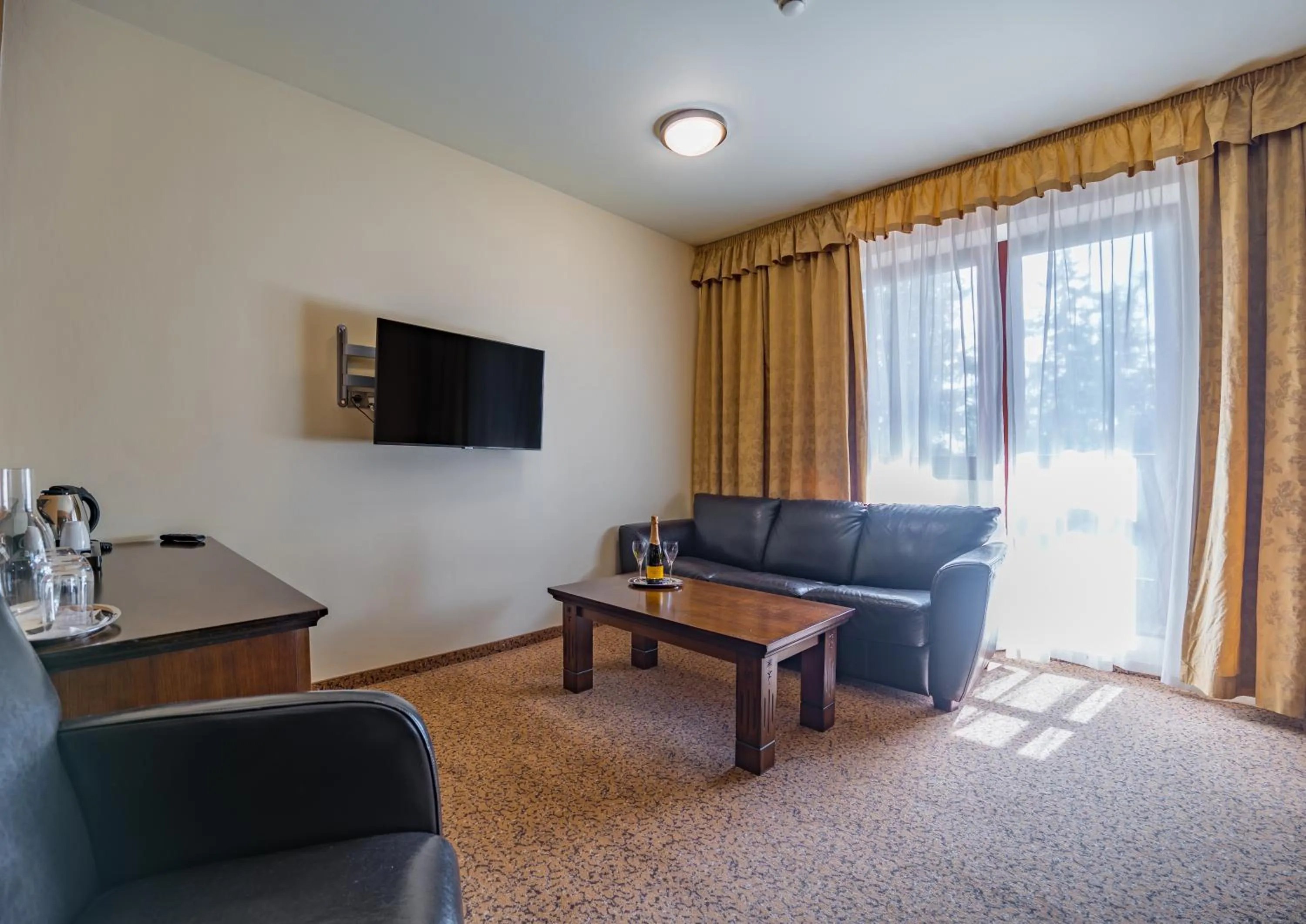 Seating area in APLEND Wellness Hotel Borovica