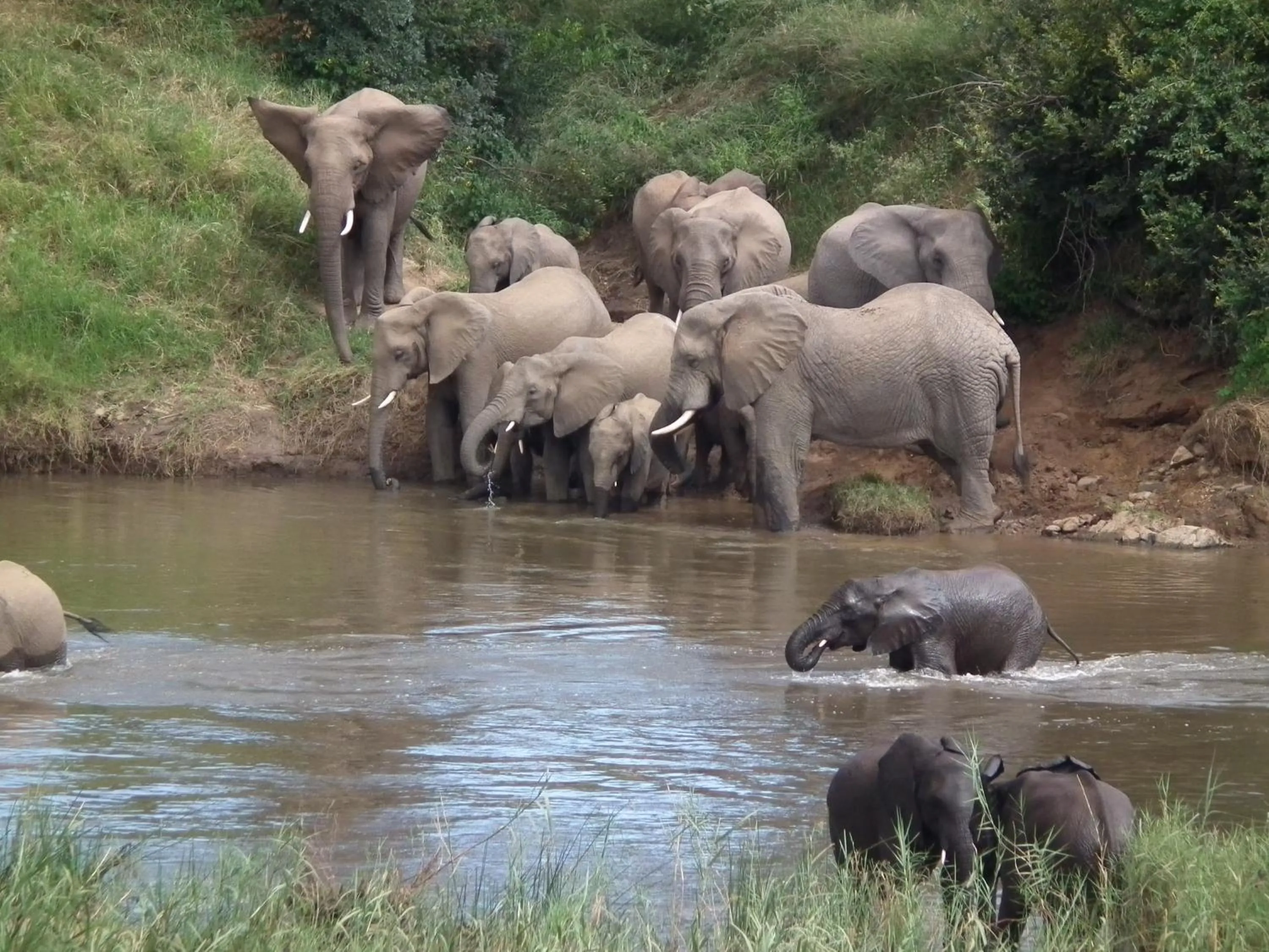 Other in Rio Vista Lodge