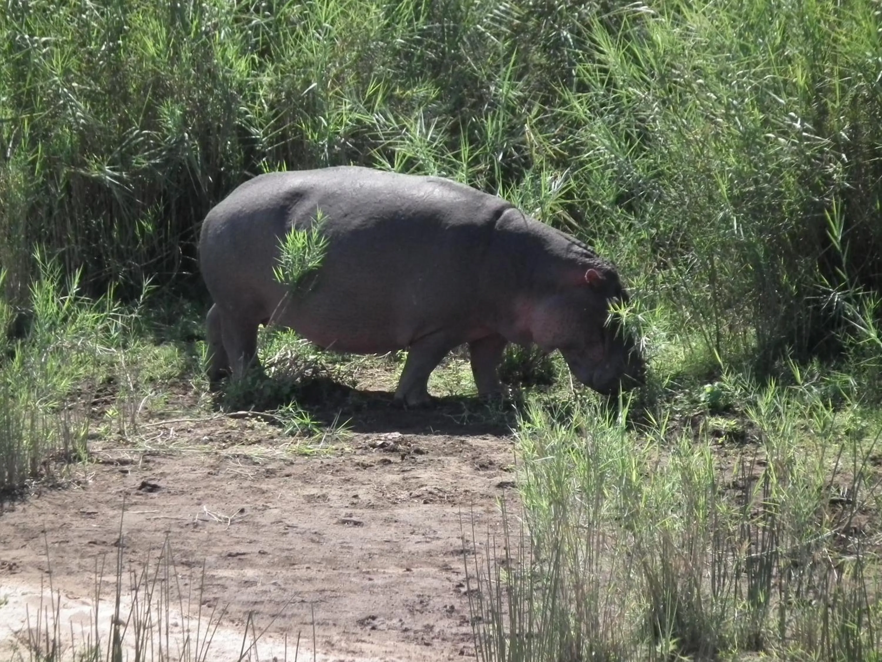Other in Rio Vista Lodge