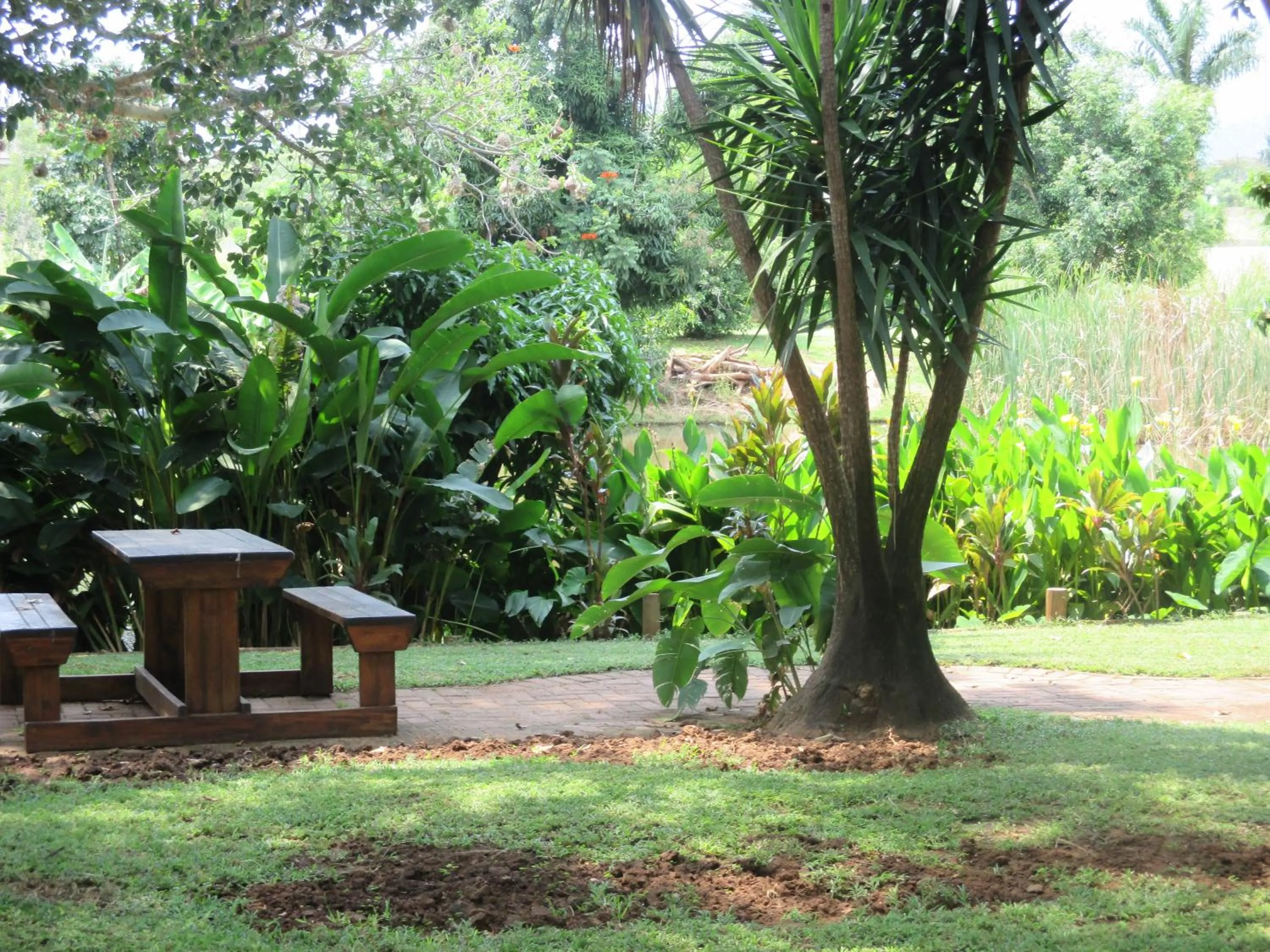 Garden in Rio Vista Lodge