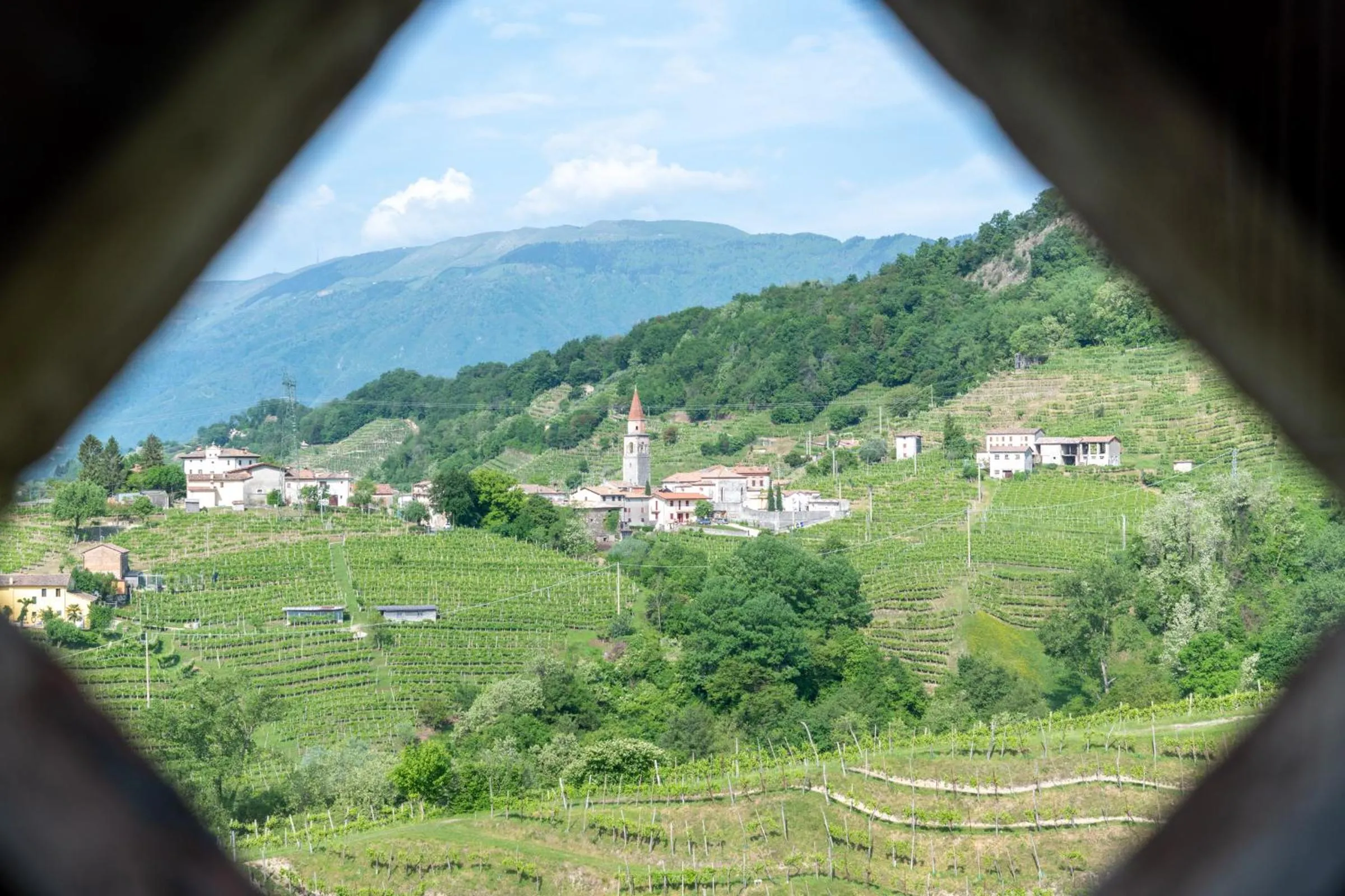 View (from property/room) in Duca Di Dolle Wine & Relais