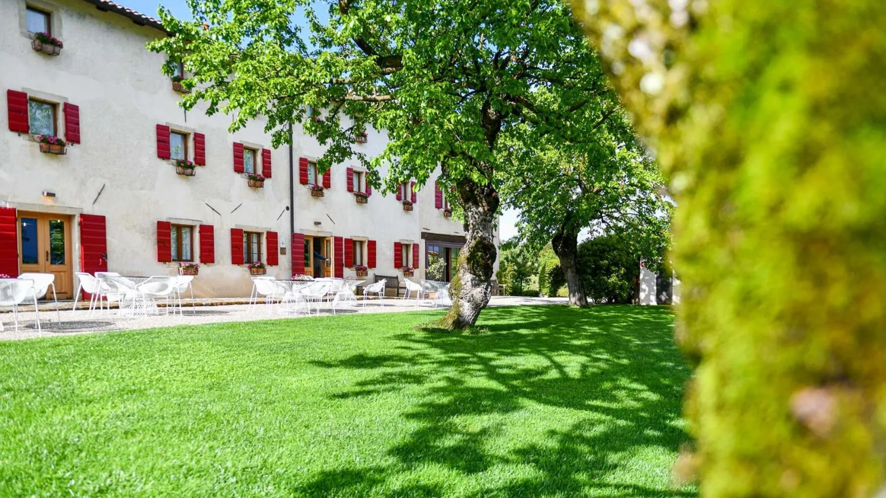 View (from property/room) in Duca Di Dolle Wine & Relais