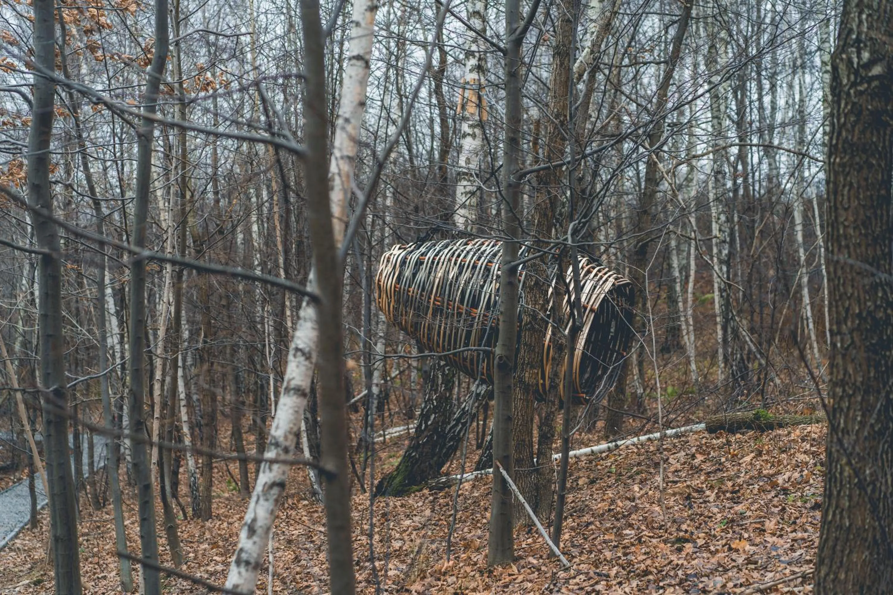 Day in Łubinowe Wzgórze - Wioska Zdrowia