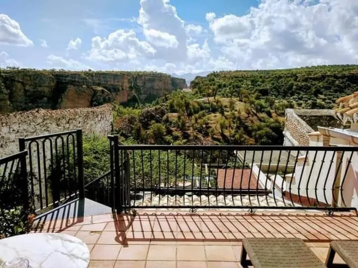 La Seguiriya