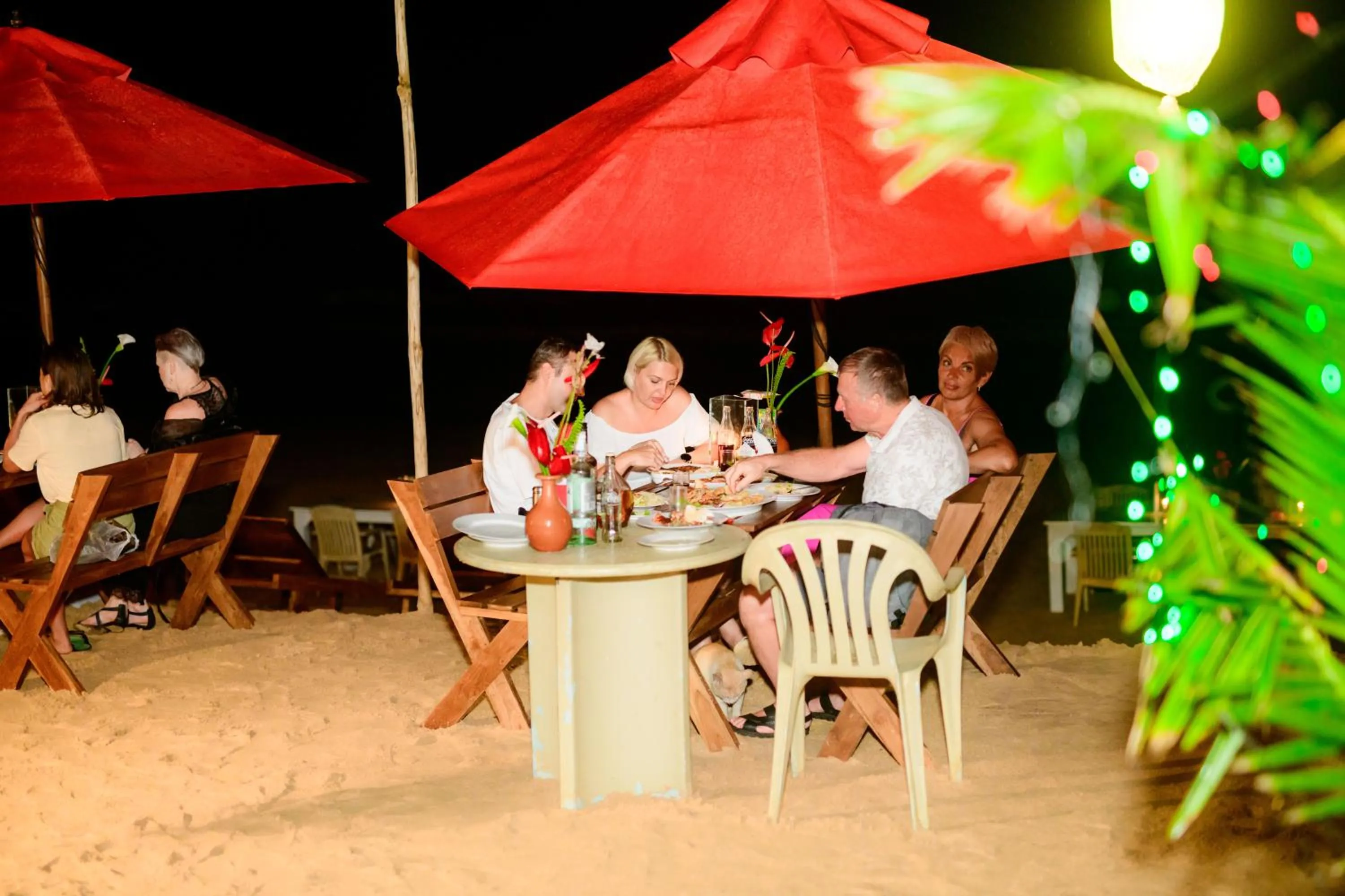 Beach in Royal Beach Hotel Hikkaduwa