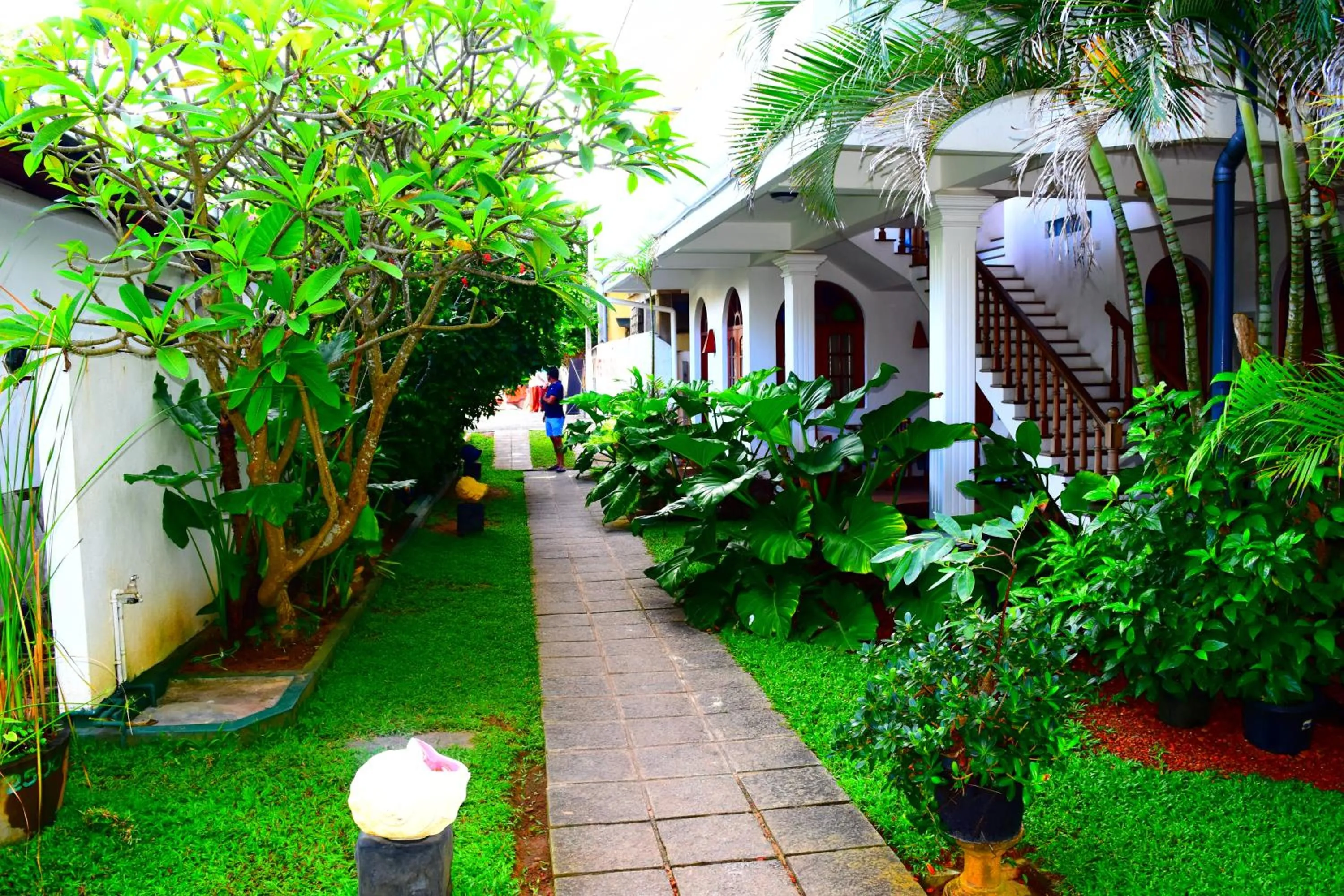 Property building in Royal Beach Hotel Hikkaduwa