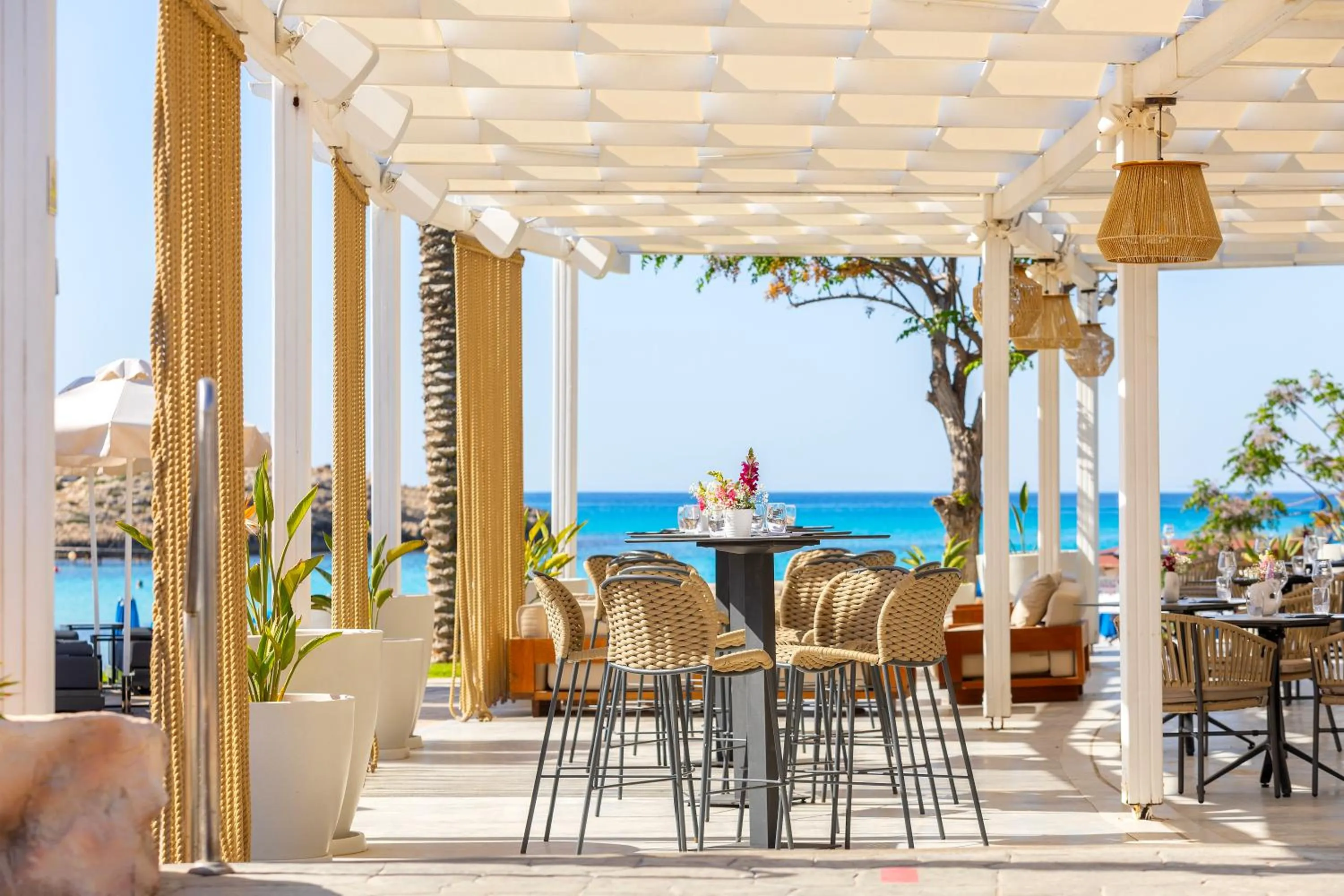 Restaurant/places to eat in Pavlo Napa Beach Hotel