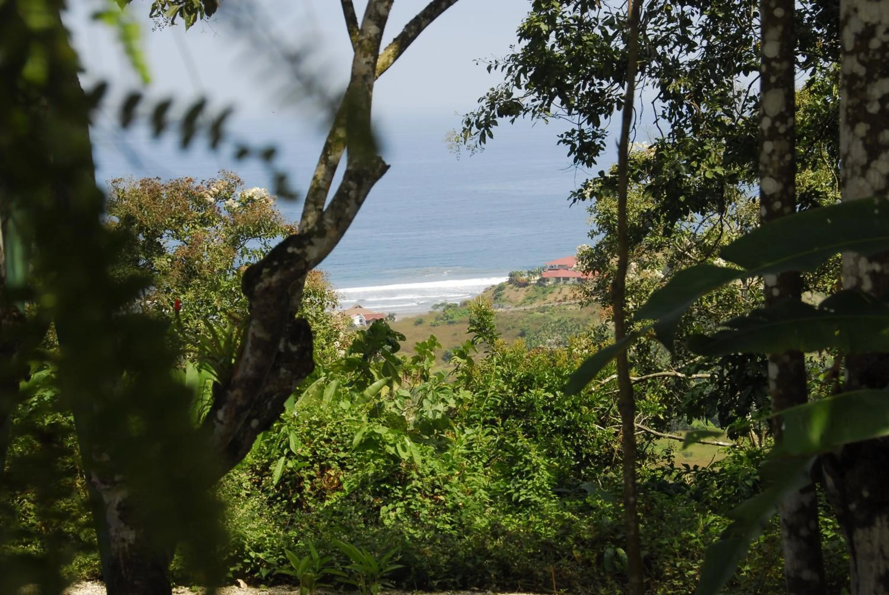 Sea view in Samai Lodge Holistic Living