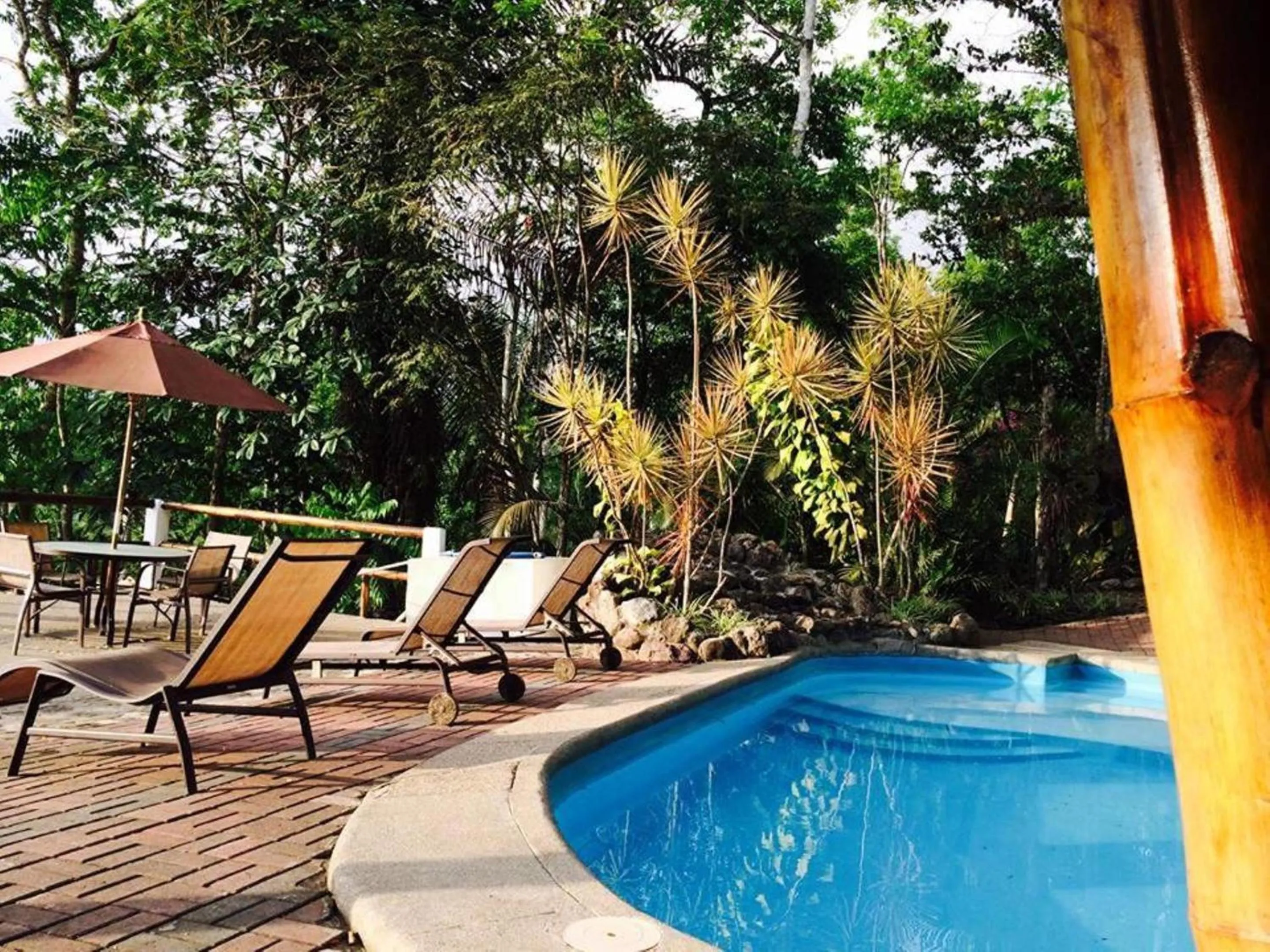 Swimming pool in Samai Lodge Holistic Living