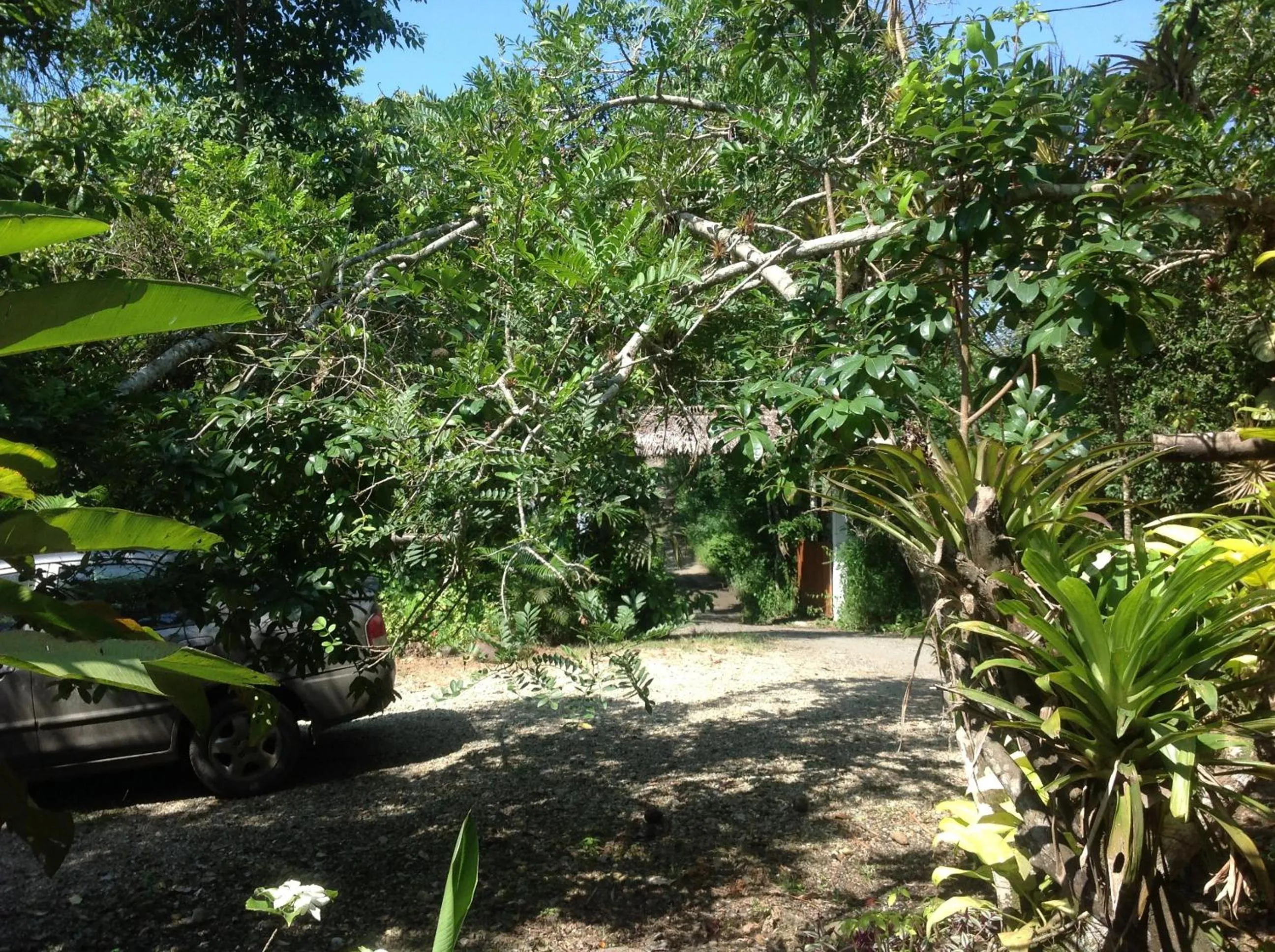 Area and facilities in Samai Lodge Holistic Living