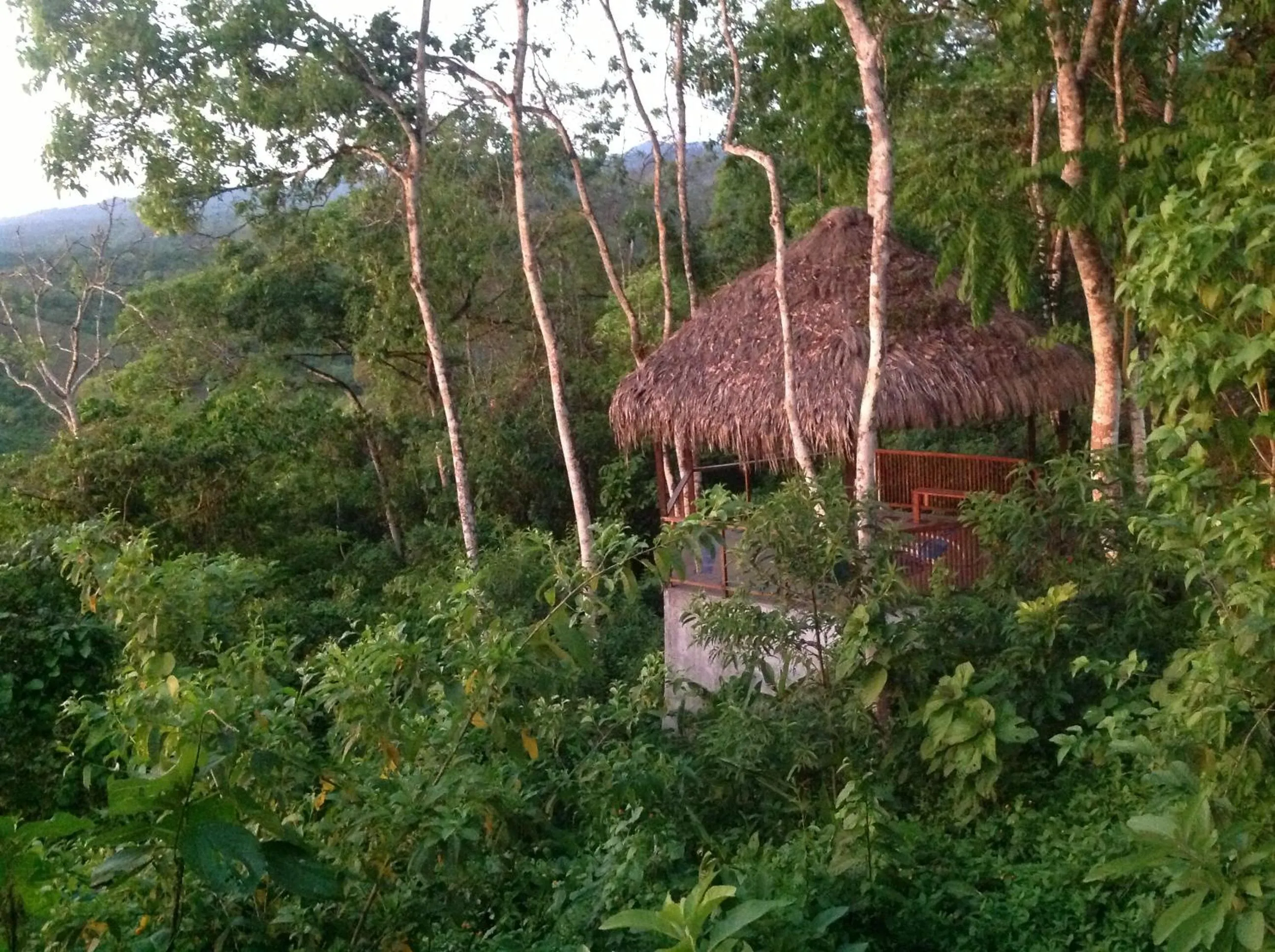 Facade/entrance in Samai Lodge Holistic Living