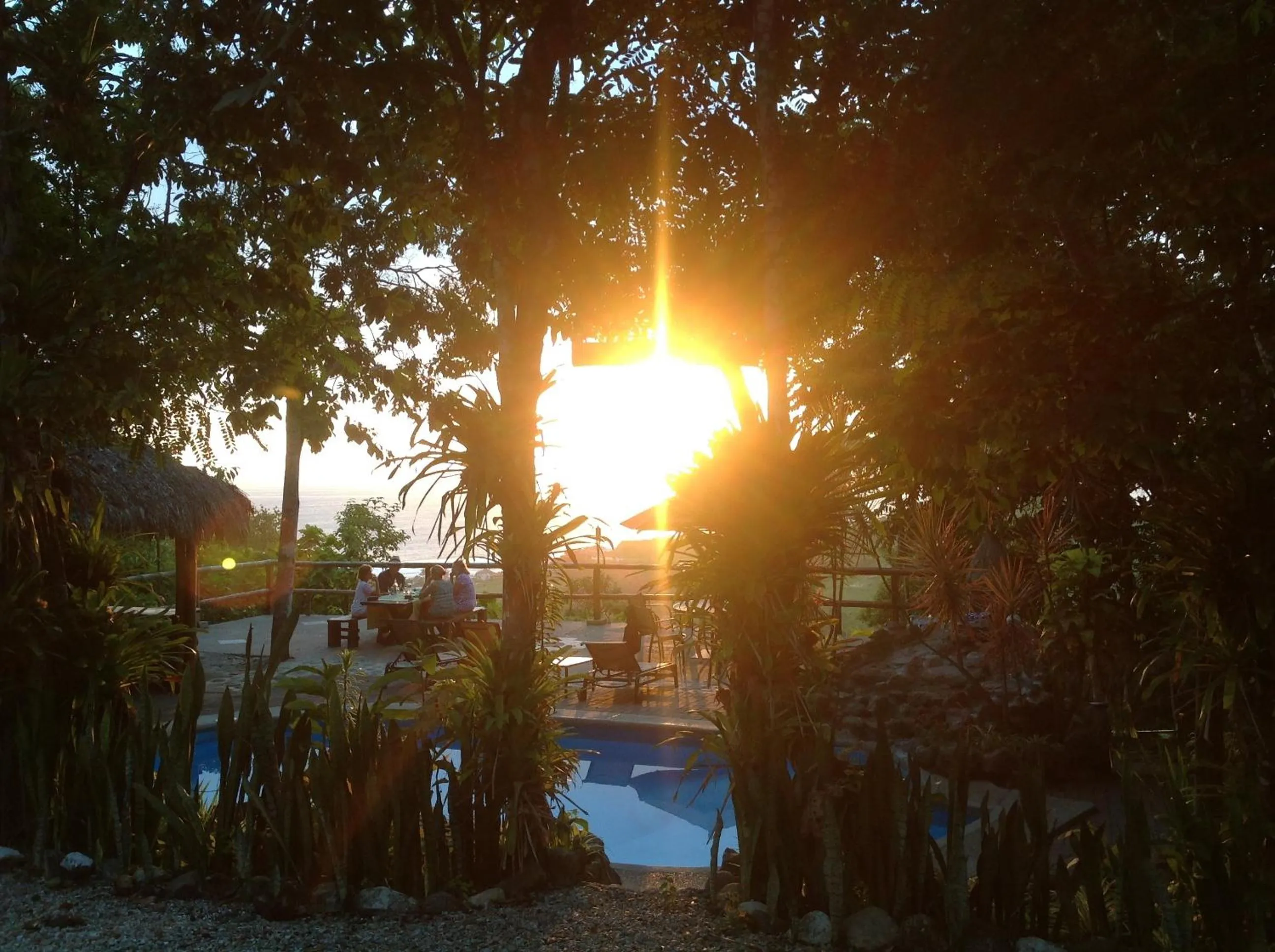 Garden in Samai Lodge Holistic Living