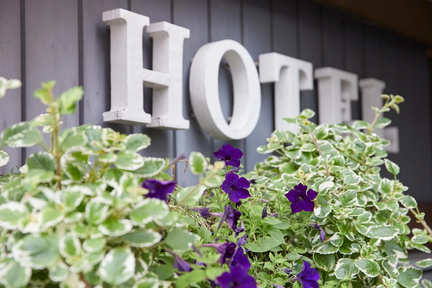 Facade/entrance in Hotel Rotes Haus
