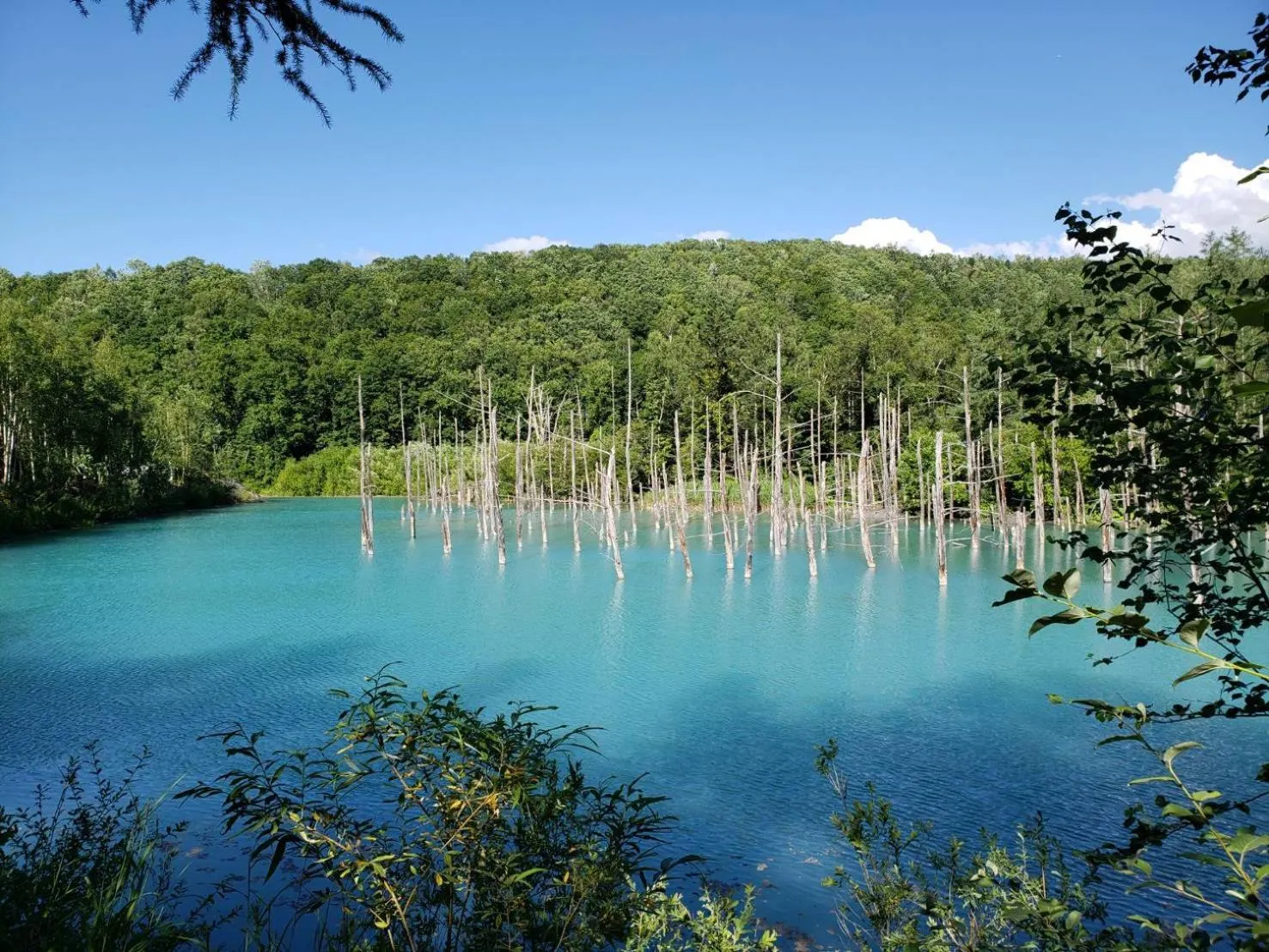 Other in Furano Mount Villa