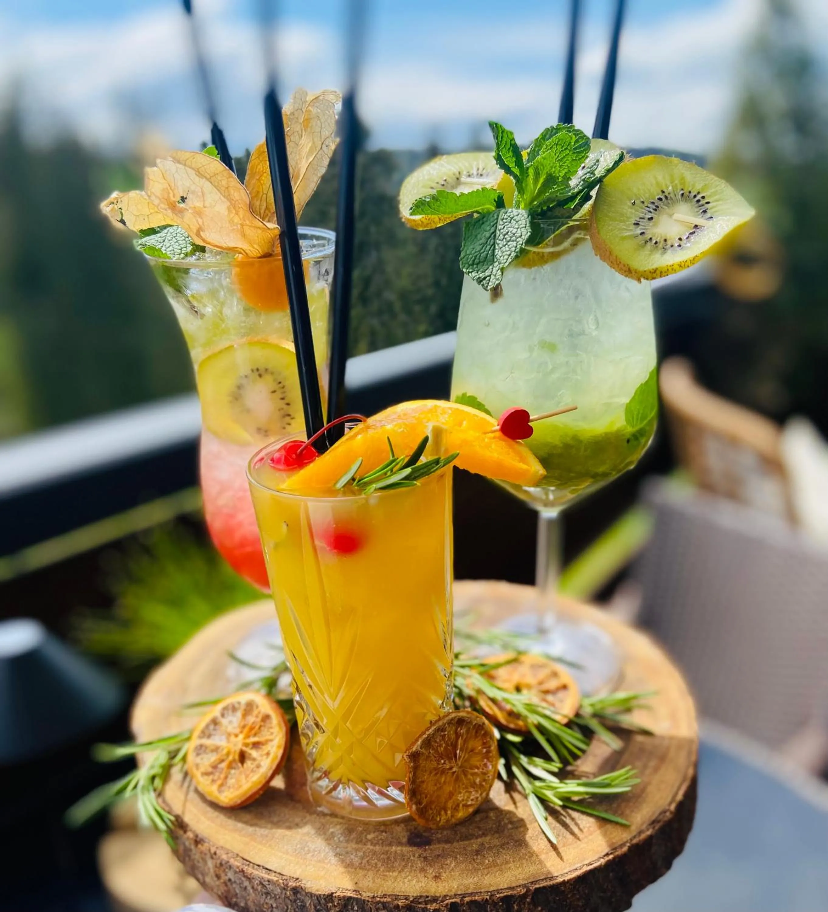 Pensjonat Orlik Mountain Resort&SPA