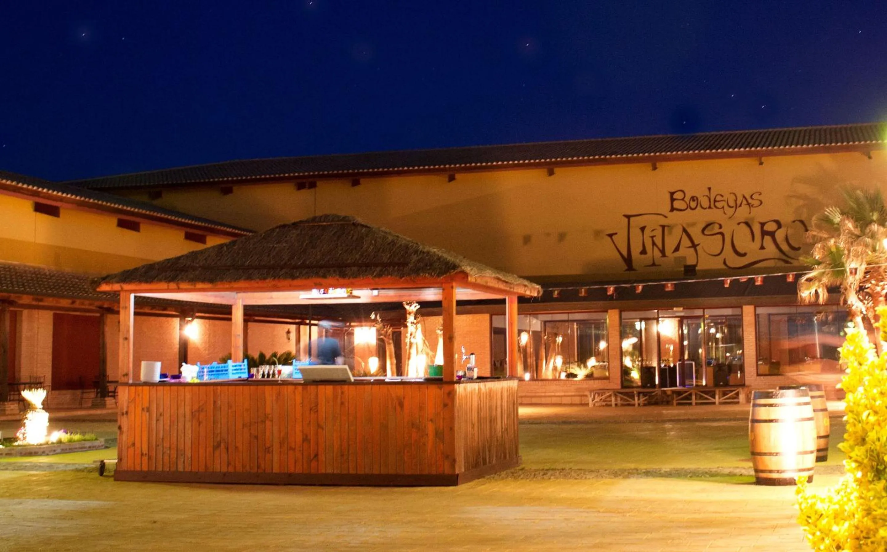 Facade/entrance in Hotel Château Viñasoro