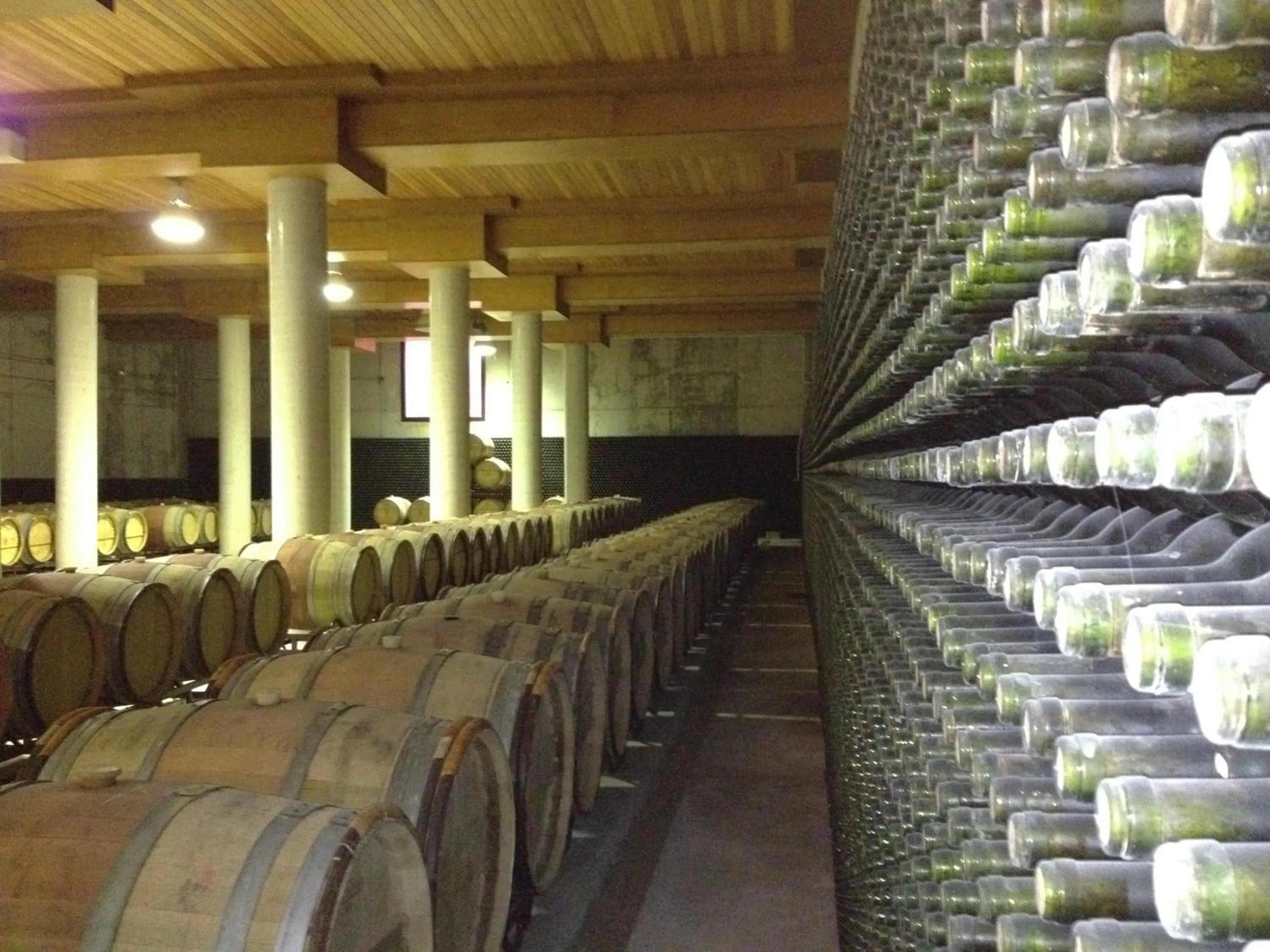 Other in Hotel Château Viñasoro