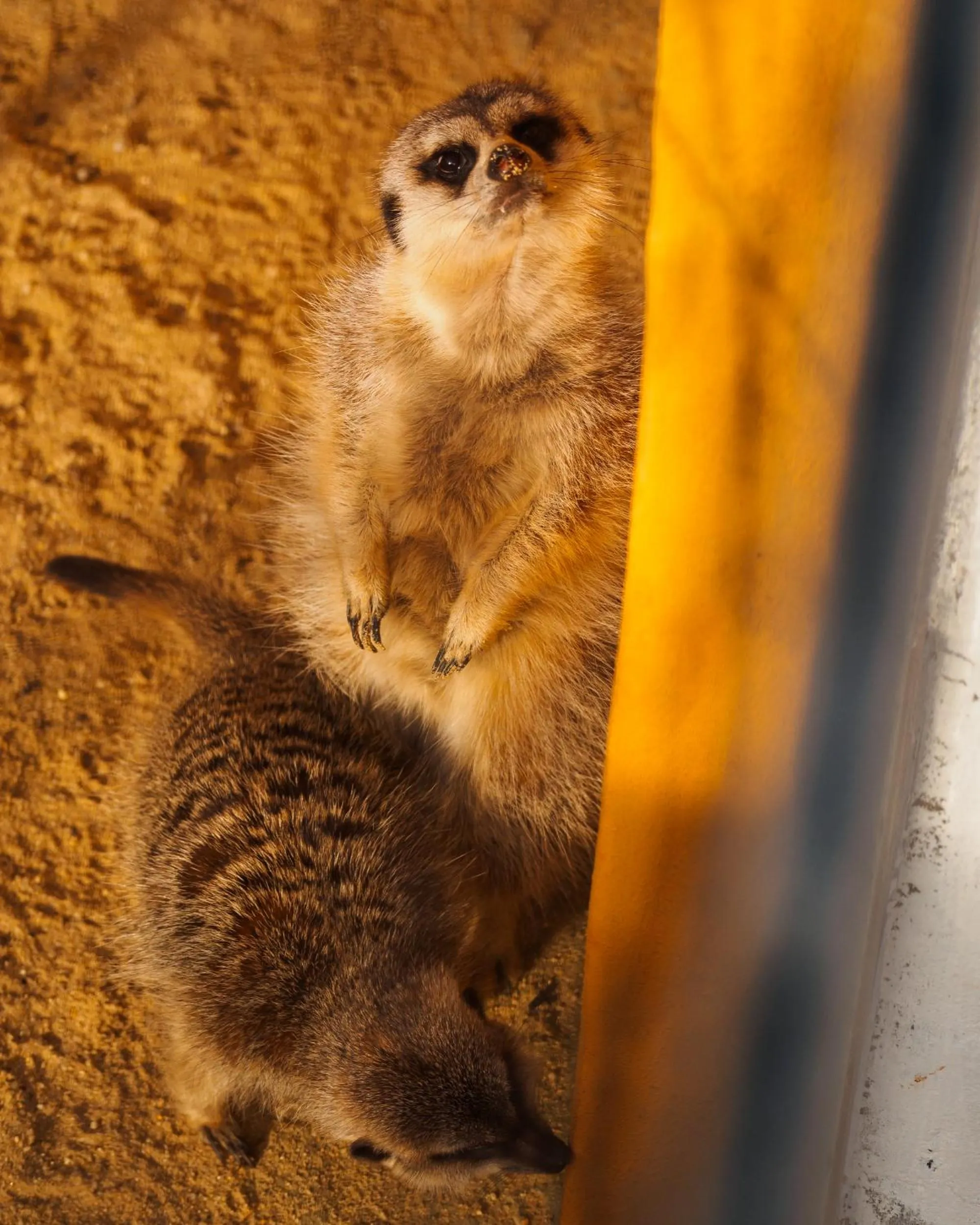 Monte Santa Catarina