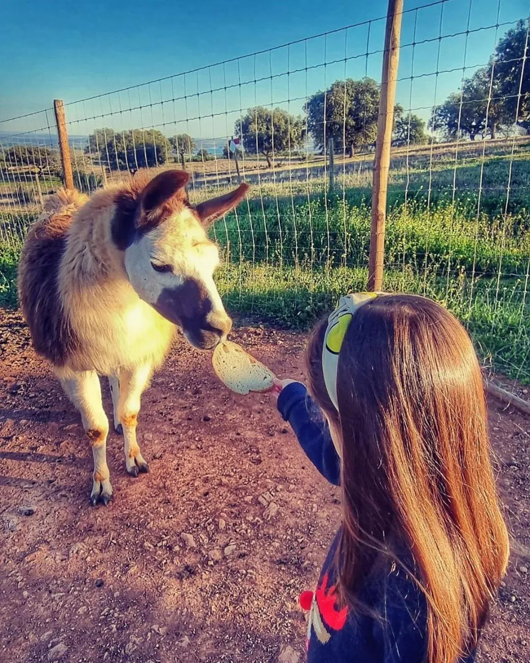 Day in Monte Santa Catarina