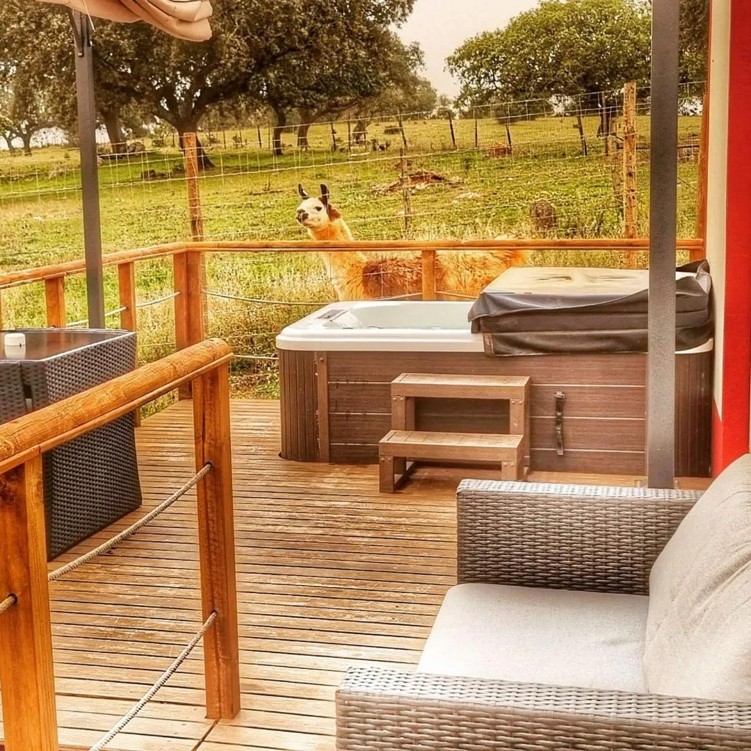 Patio in Monte Santa Catarina