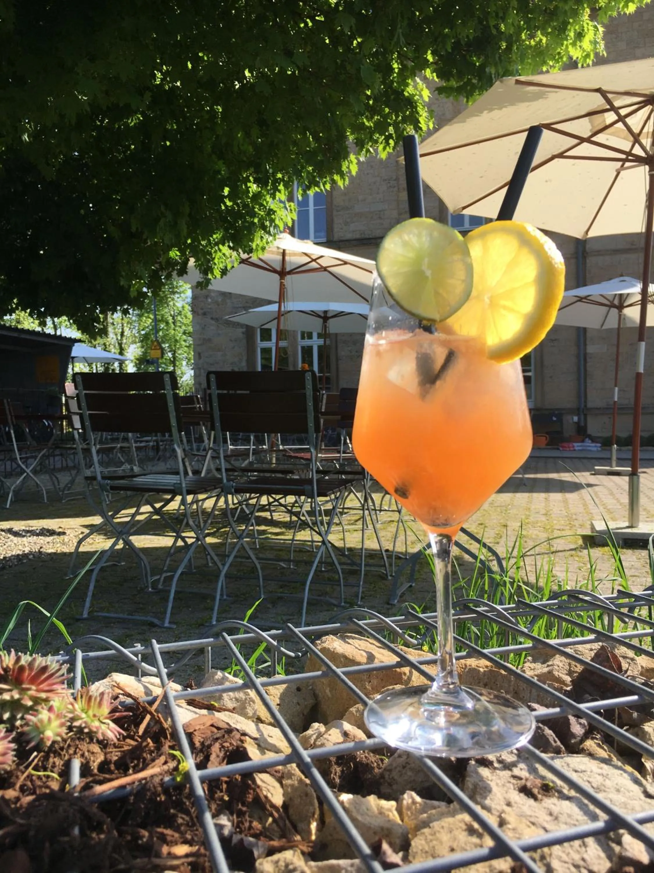 Restaurant/places to eat in Zum Bahnhof 1894