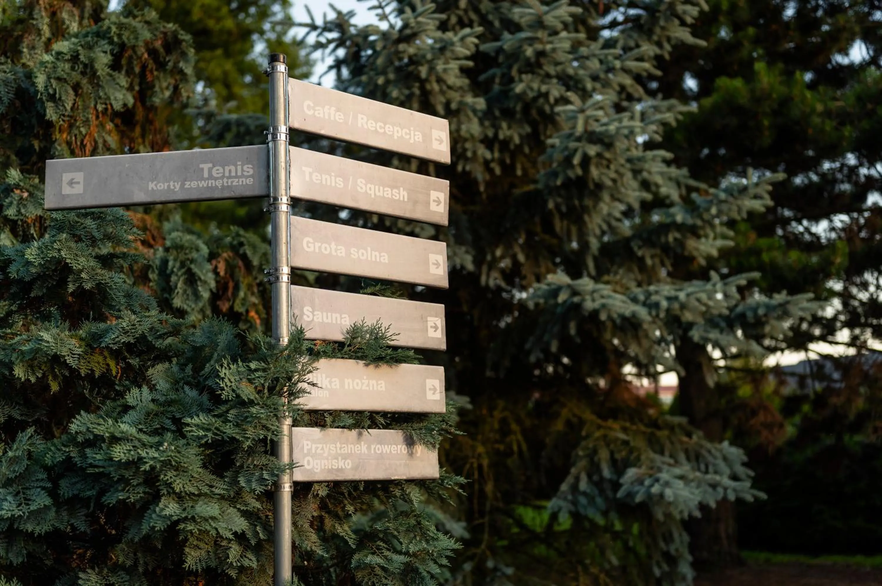 View (from property/room) in Ignasiak Hotel