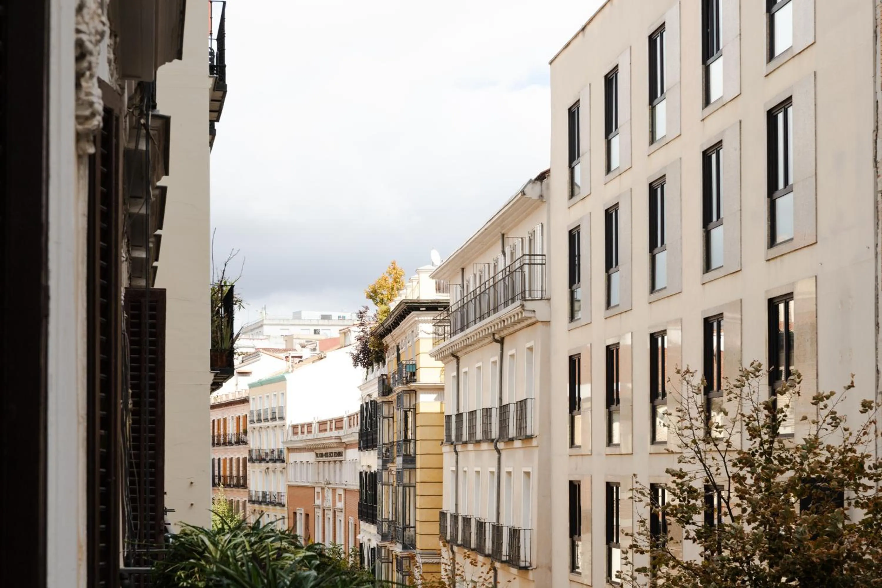 Balcony/Terrace in Hostal La Zona