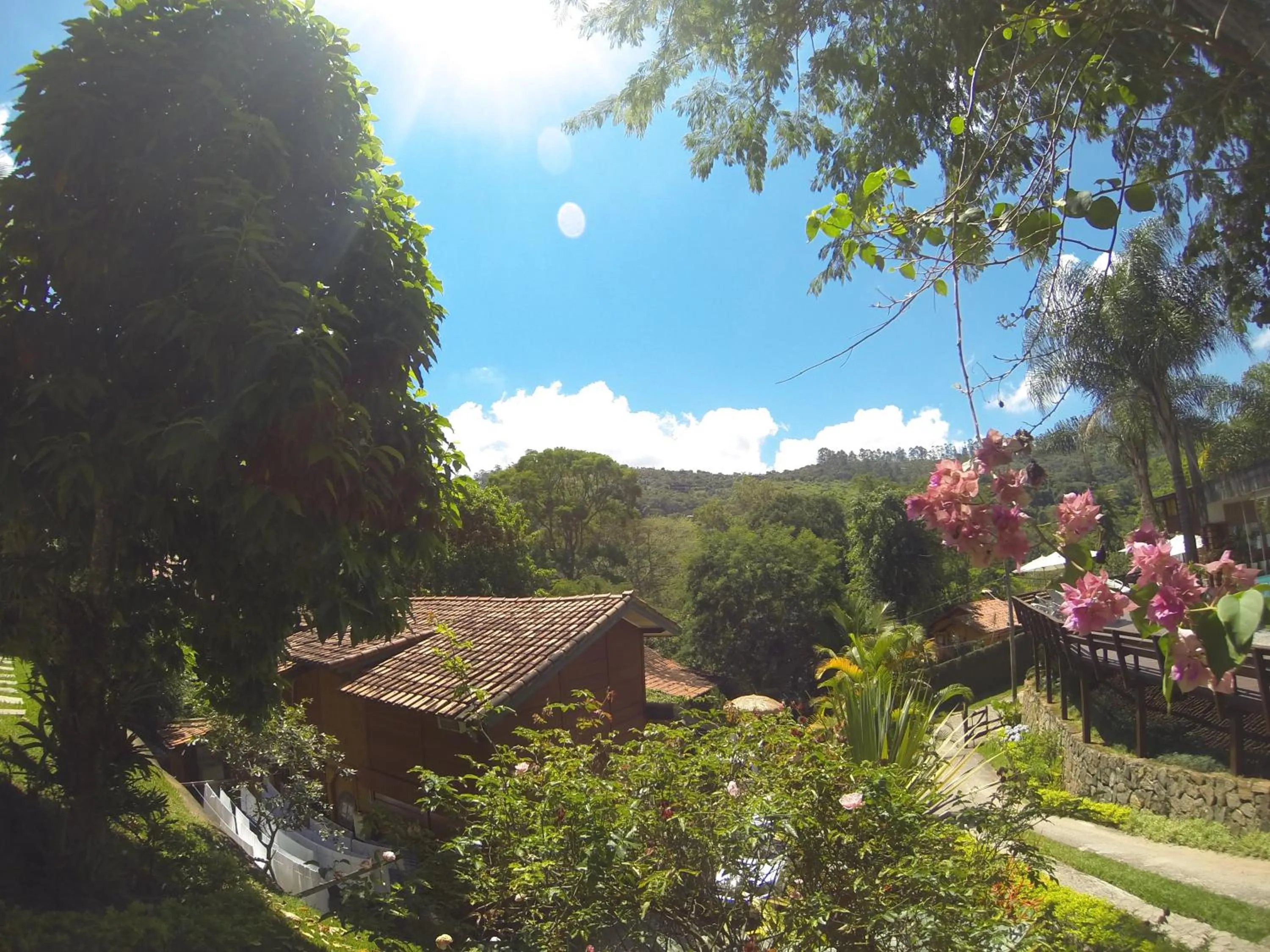 Natural landscape in Wood House