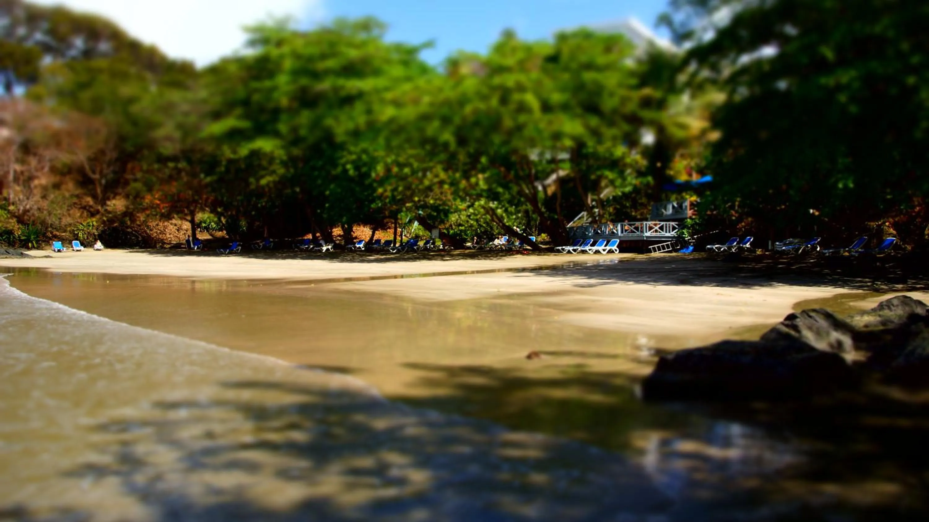 Natural landscape in Bacolet Beach Club