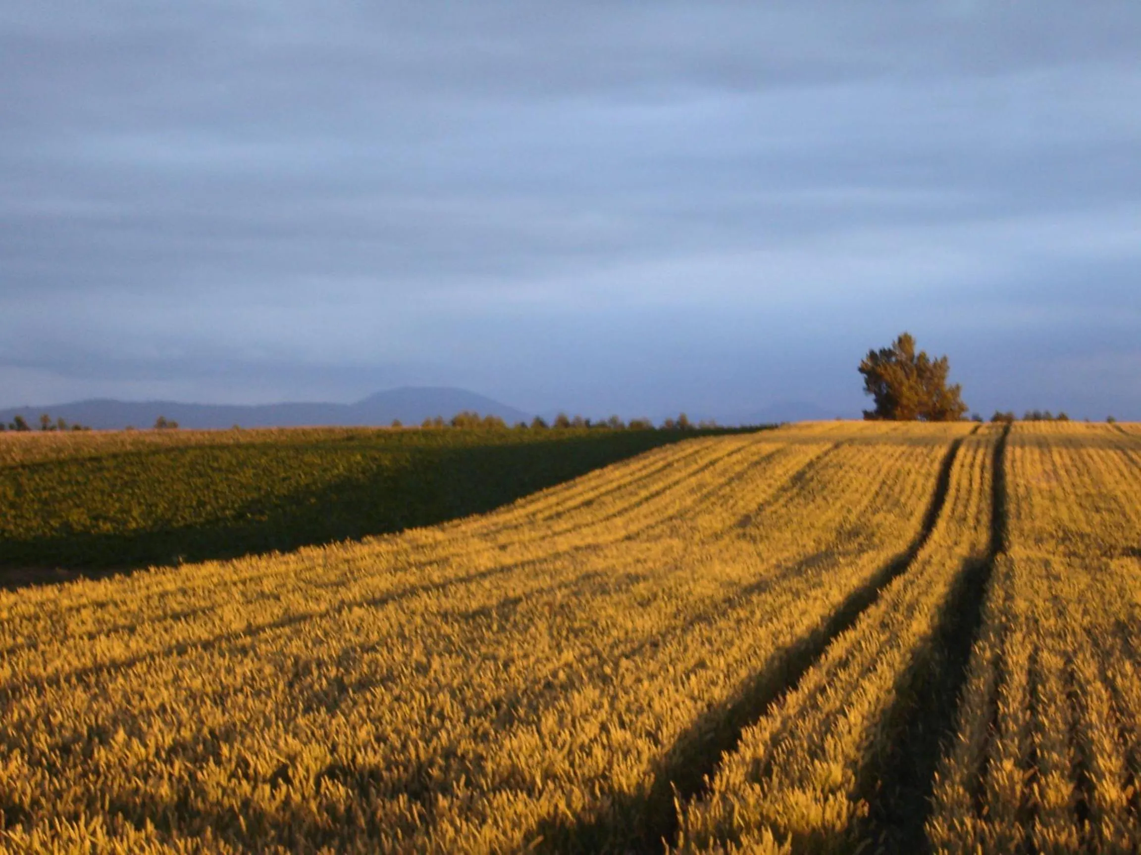 Off site in Akane-yado