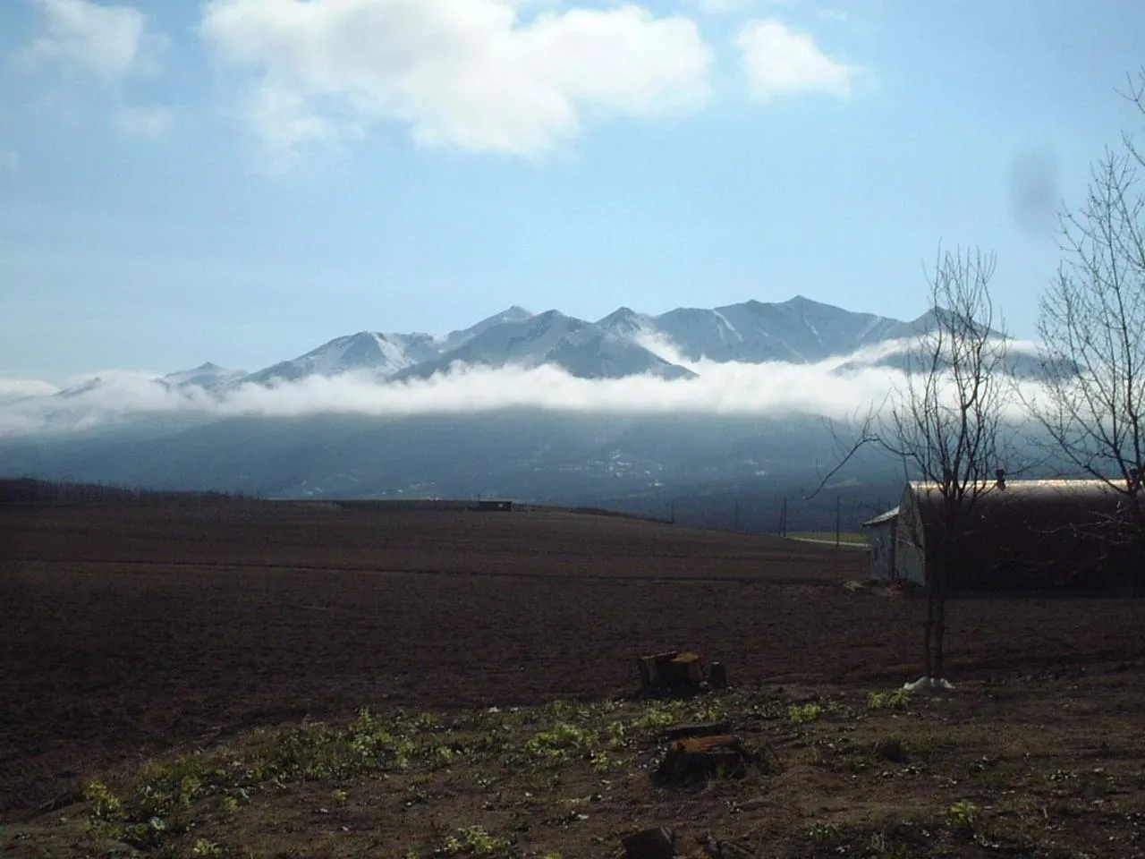 Spring in Akane-yado
