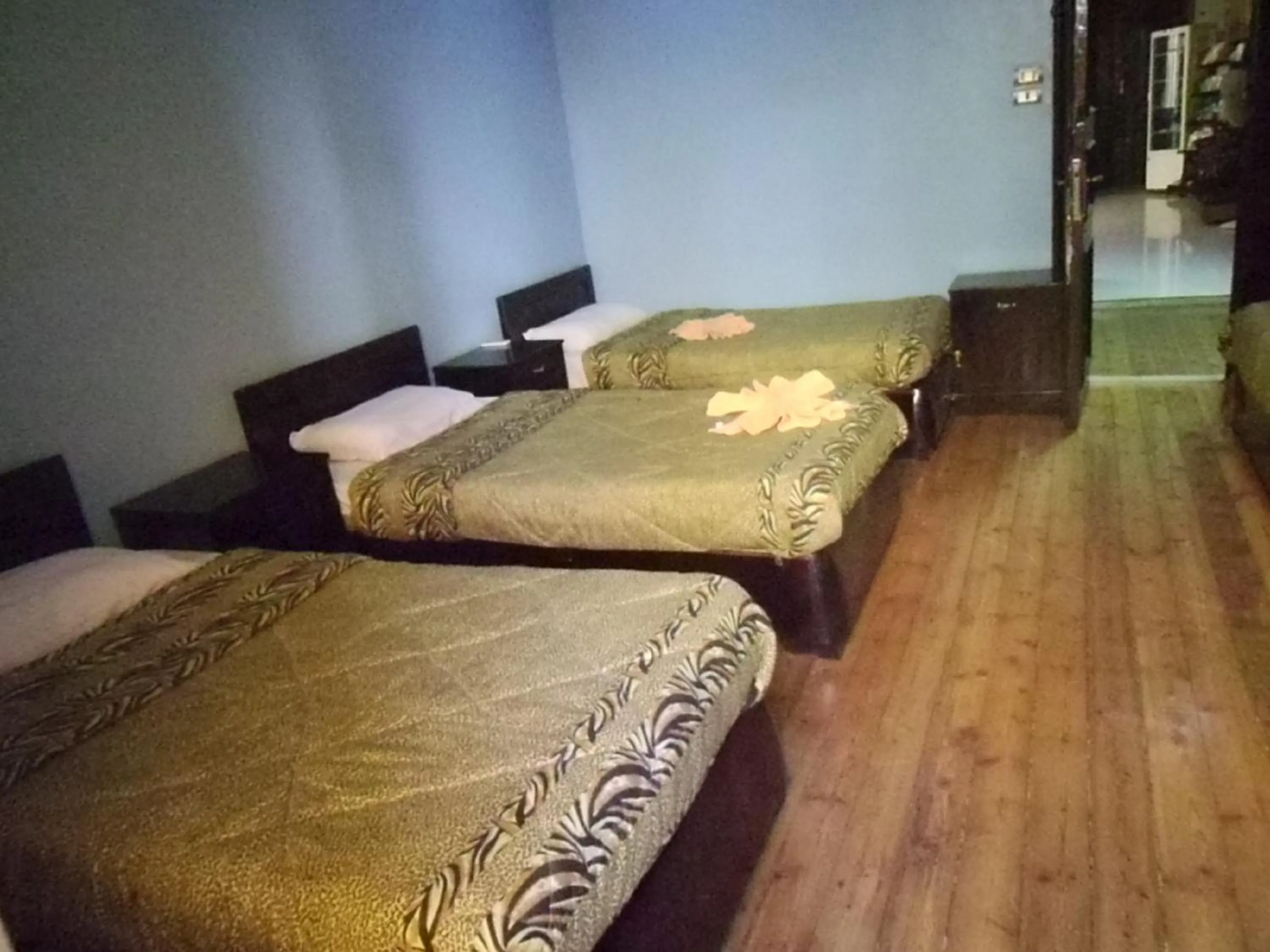 Staff, Bed in Freedom Hostel