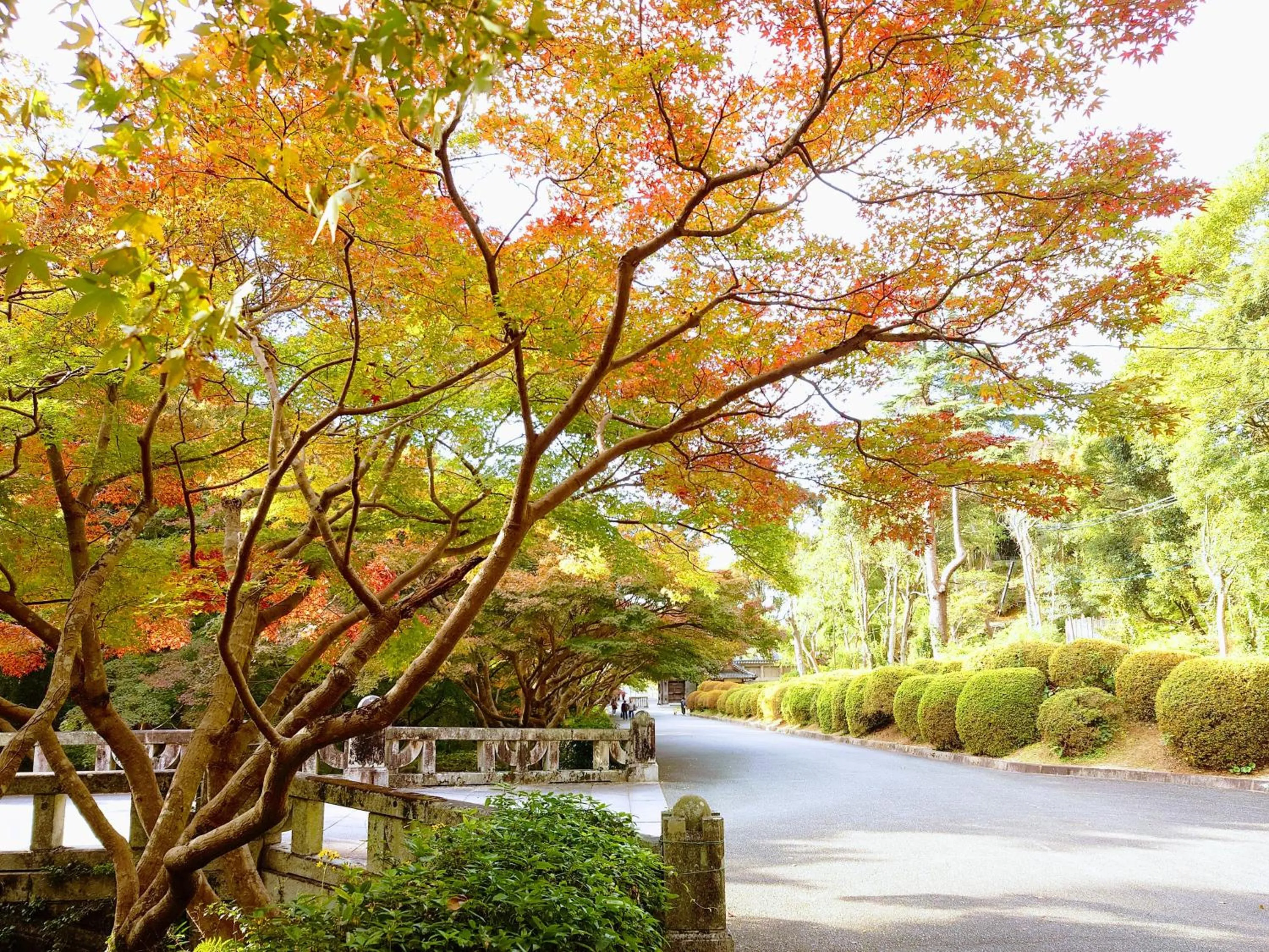 Nearby landmark in APA Hotel Yamaguchi Hofu