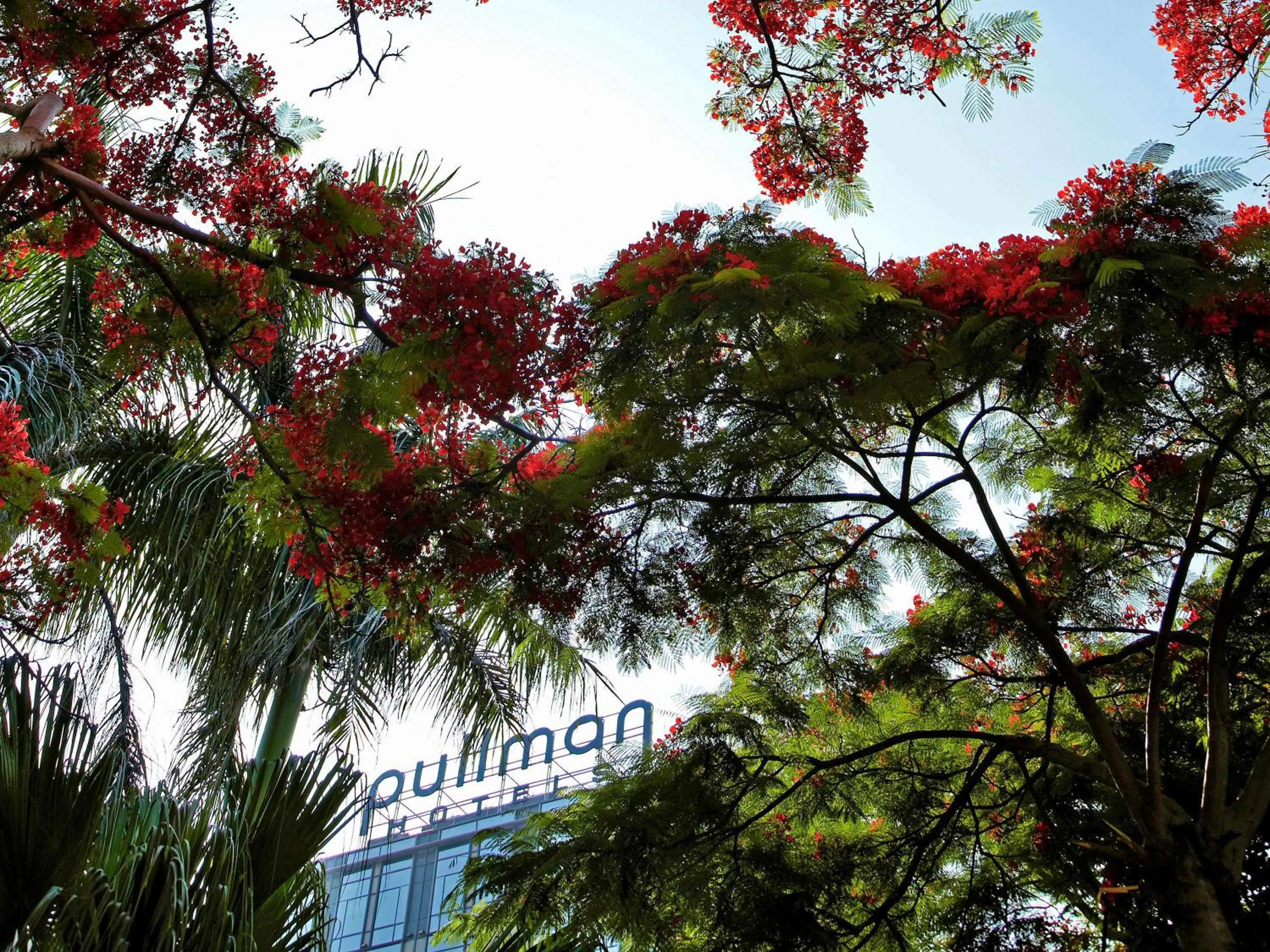 On site in Pullman Xiamen Powerlong