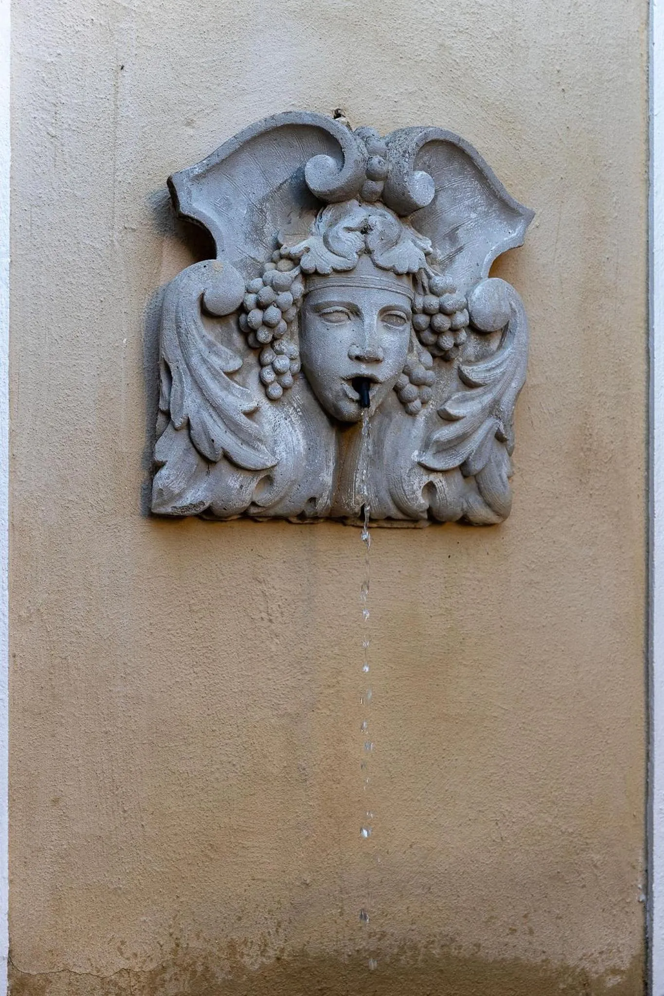 Property building in Lemoenkloof Boutique Hotel