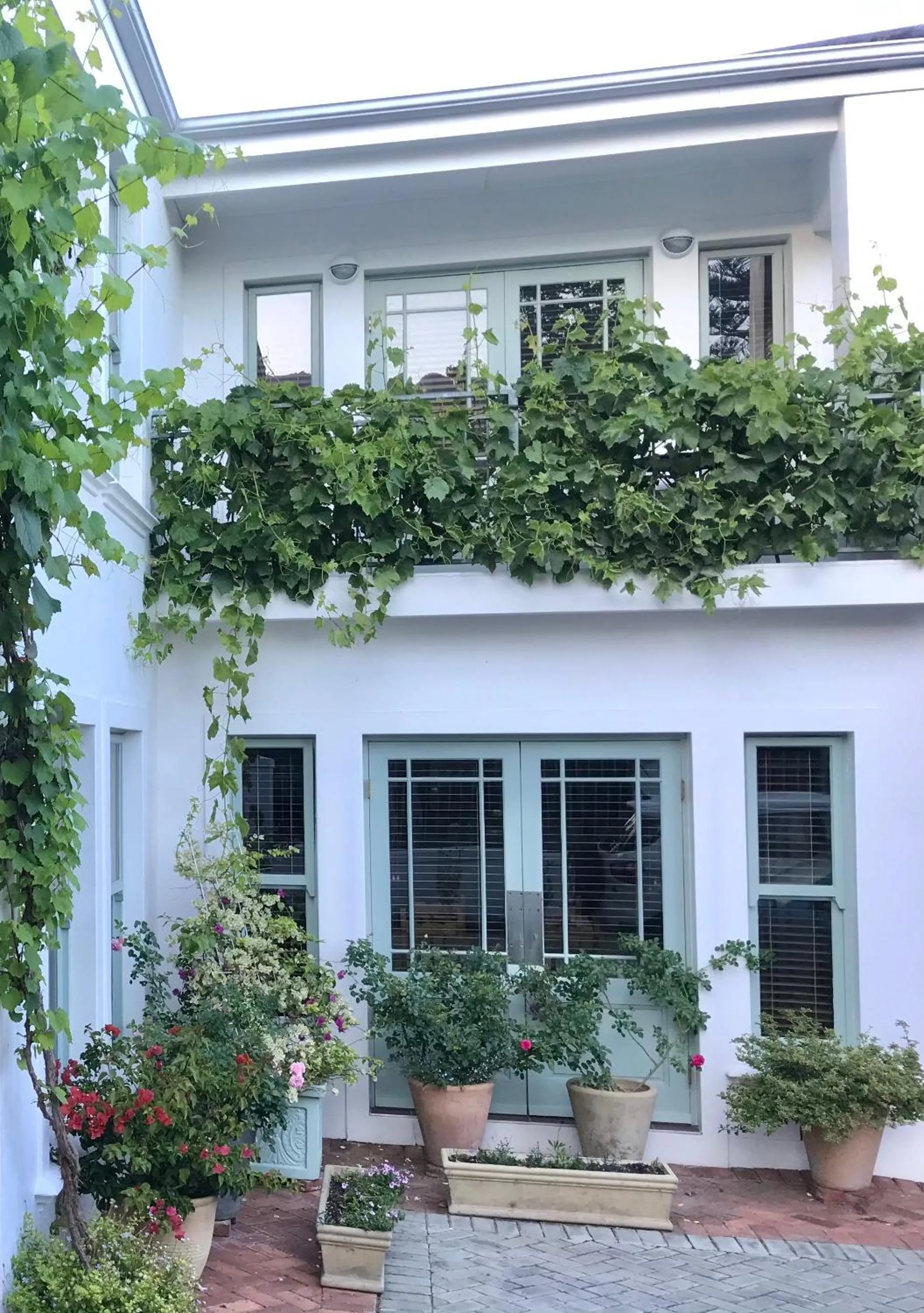 Property building in Penelope's Stellenbosch