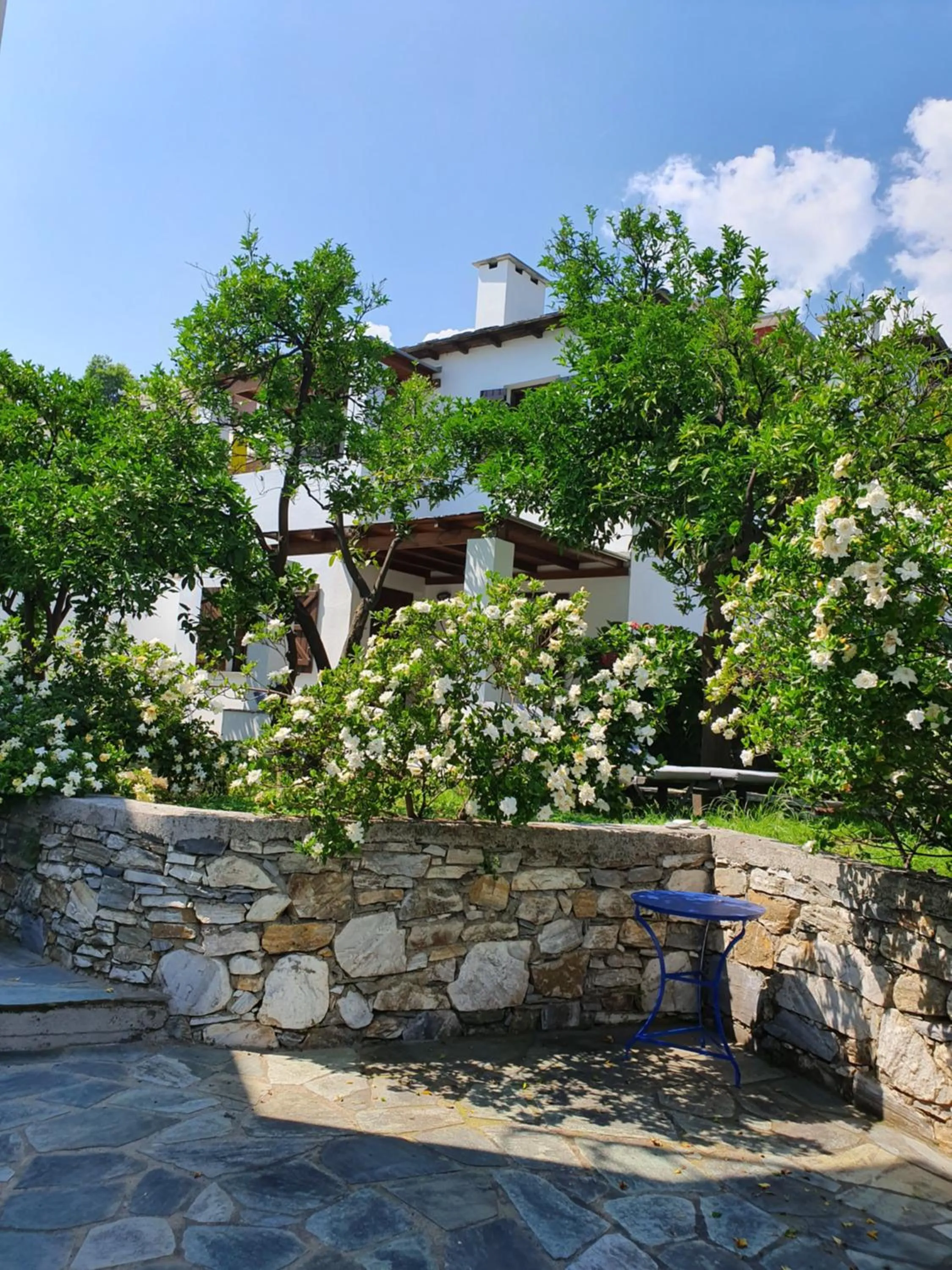Property building in Aeolos Hotel & Villas - Pelion