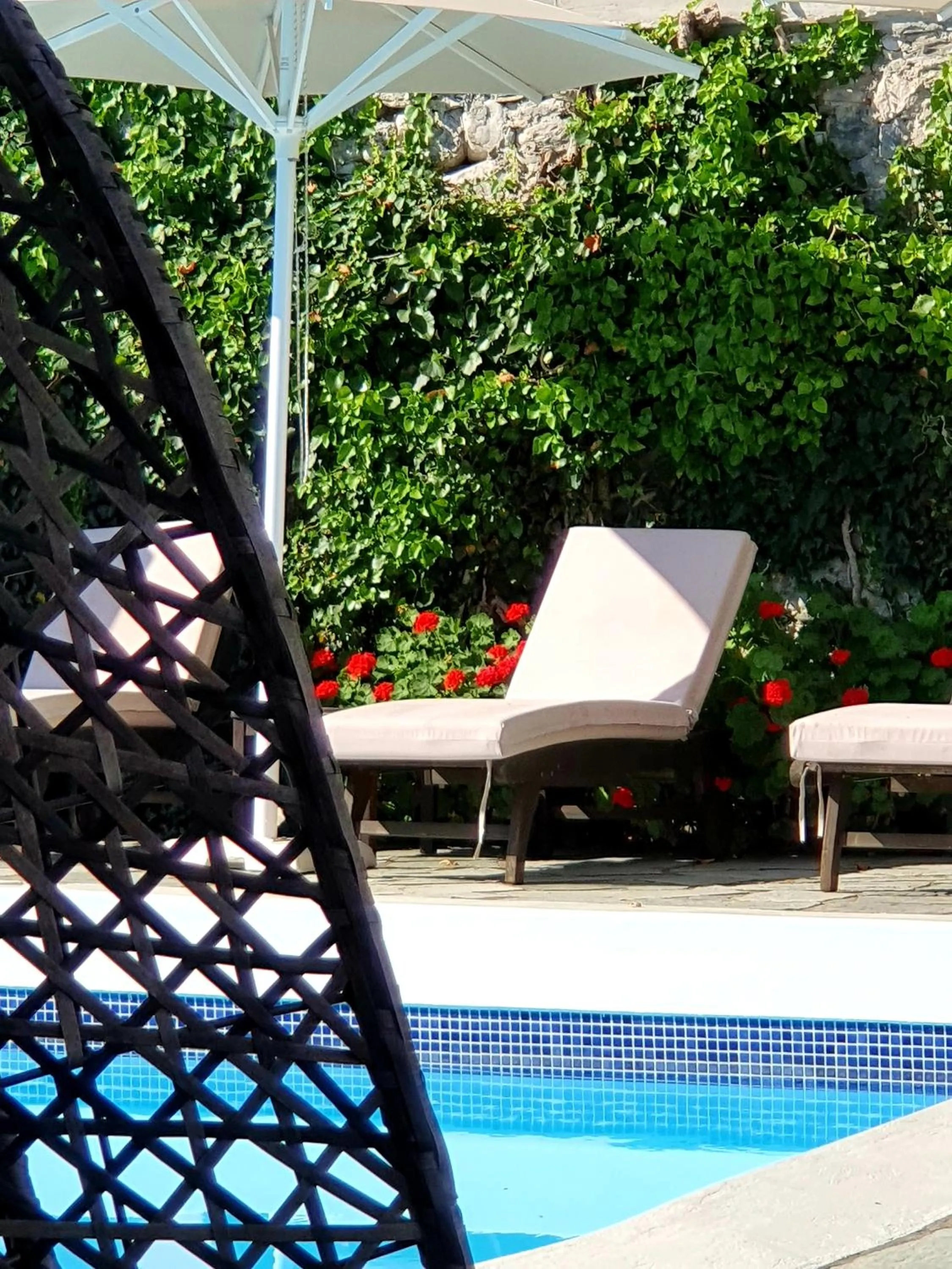 Swimming pool in Aeolos Hotel & Villas - Pelion