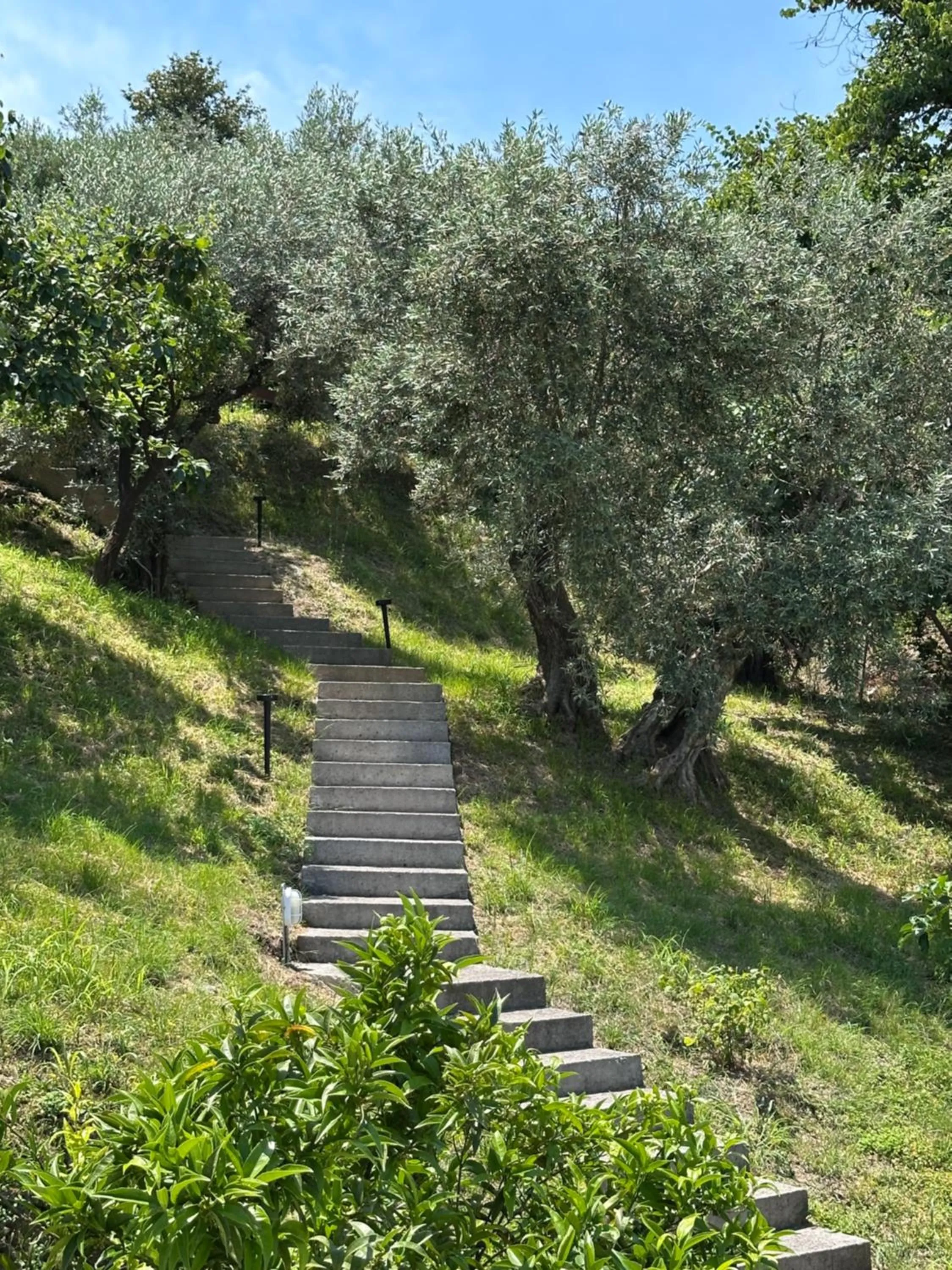 Day in Aeolos Hotel & Villas - Pelion