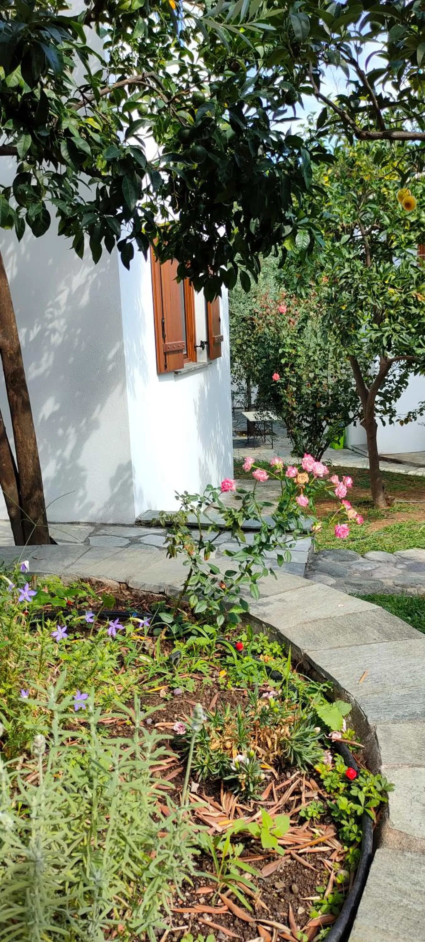 Garden in Aeolos Hotel & Villas - Pelion