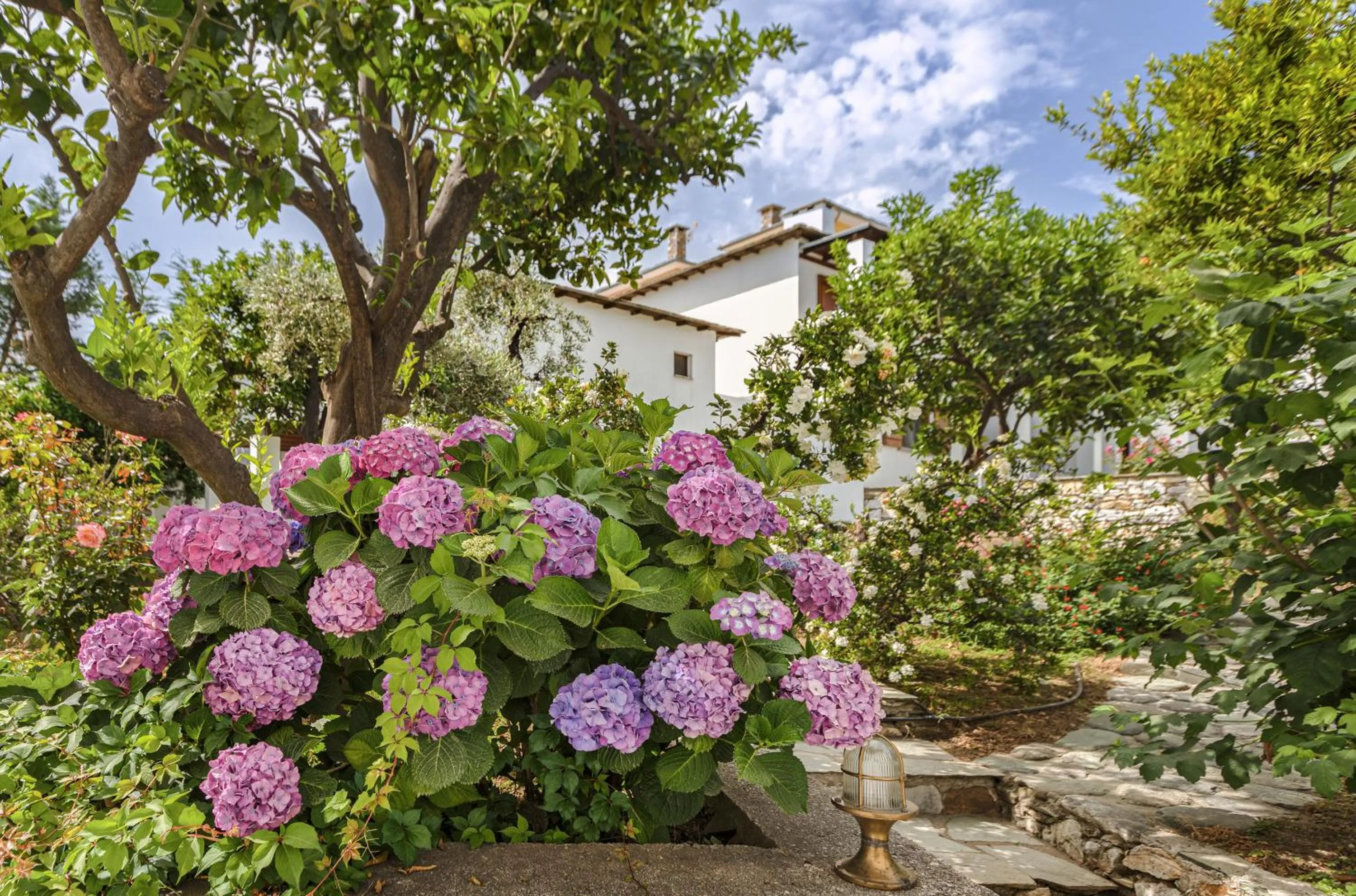 Garden view in Aeolos Hotel & Villas - Pelion