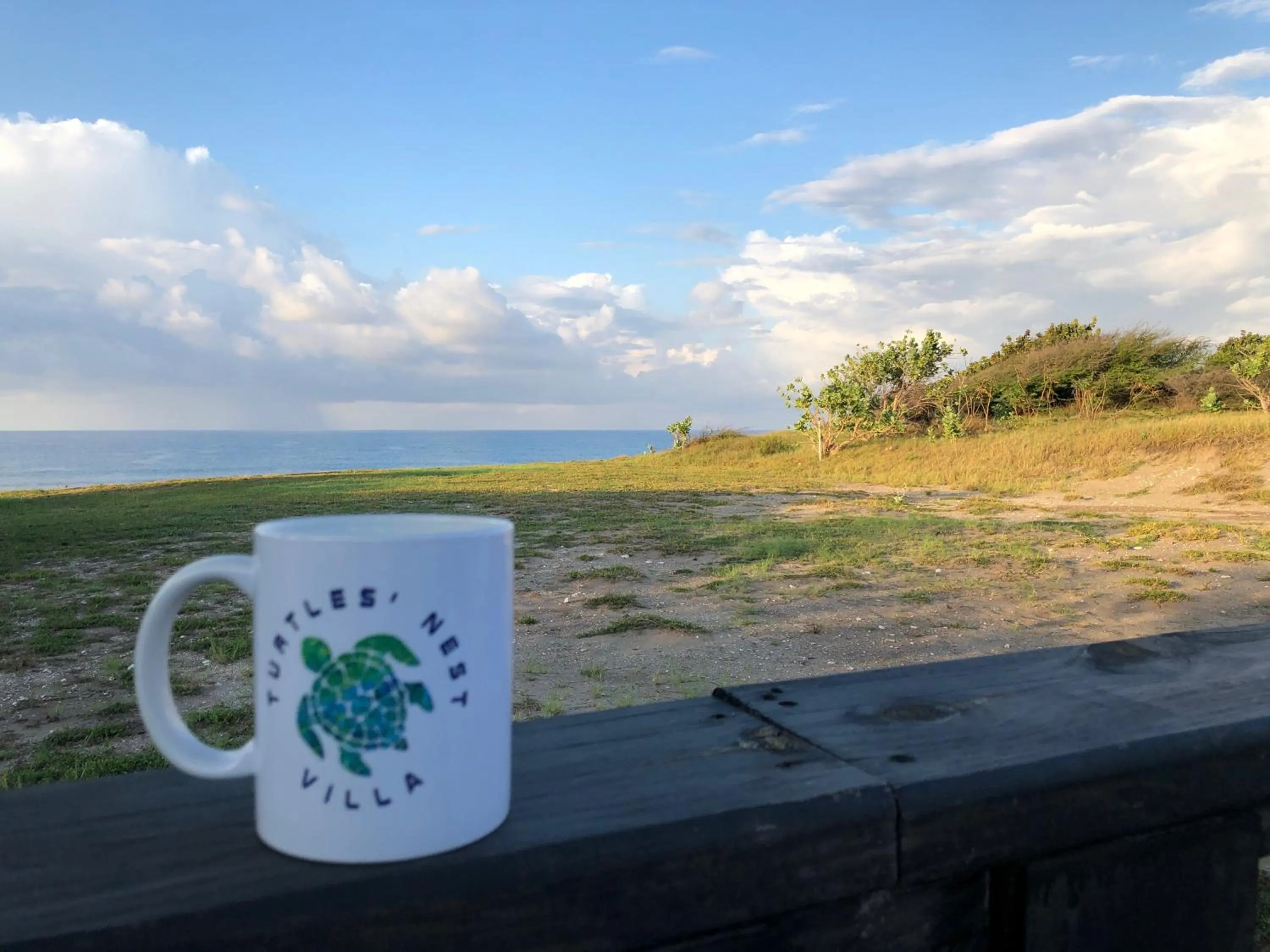 Sea view in Turtles Nest Villa