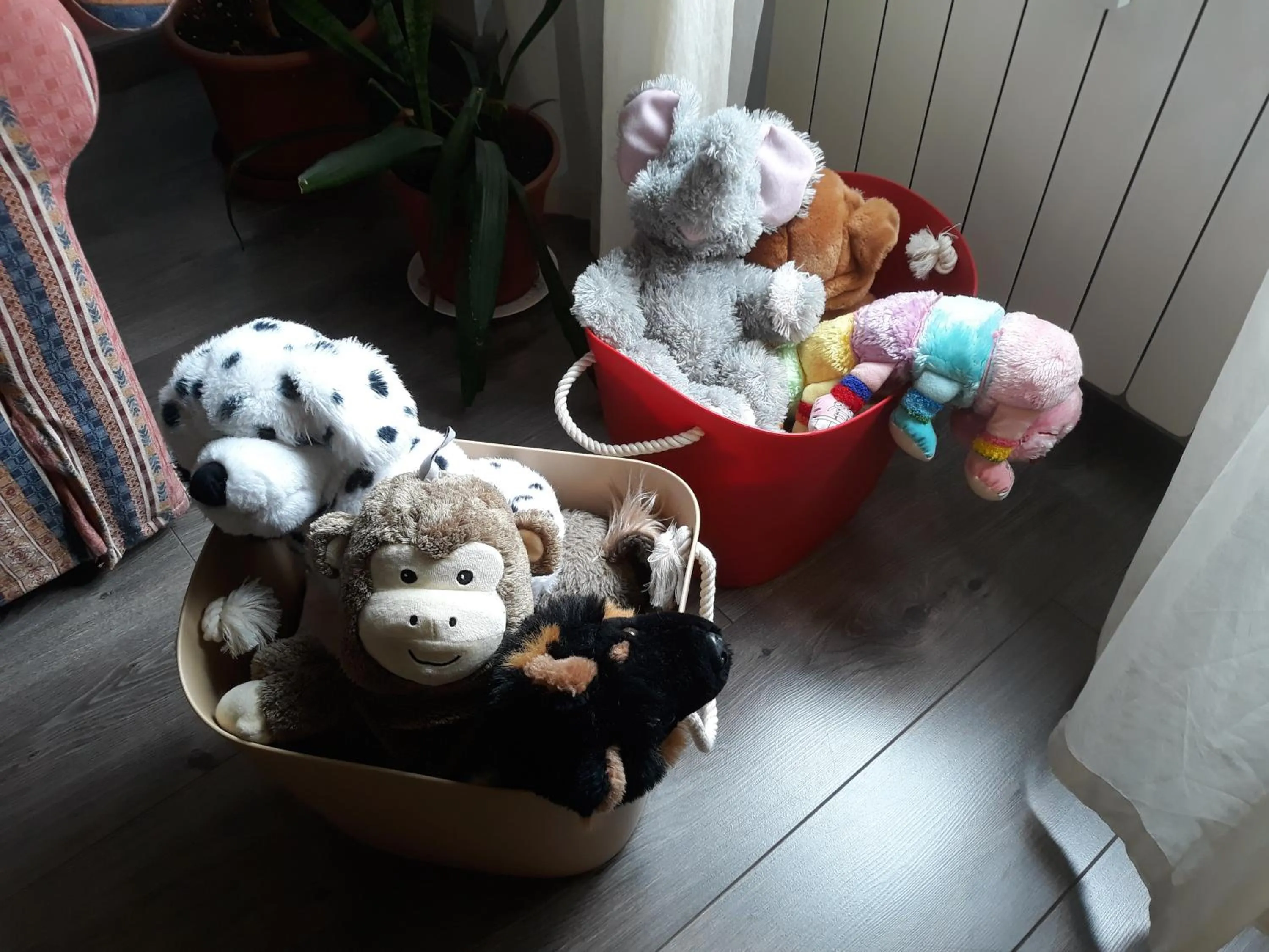 children in Residence Sole