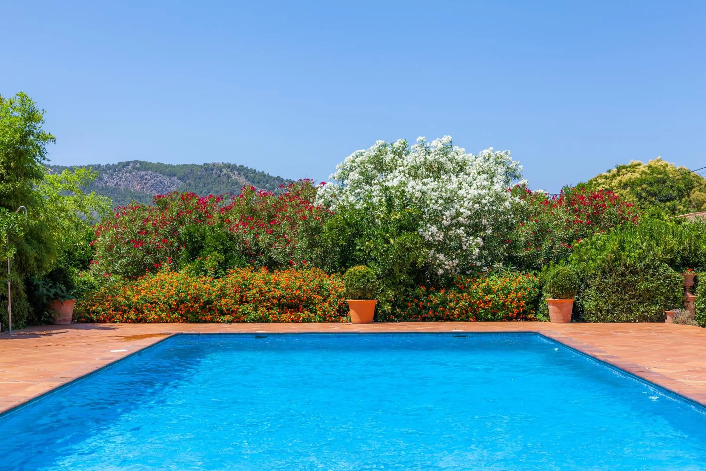 Finca Ca's Curial - Agroturismo - Adults Only