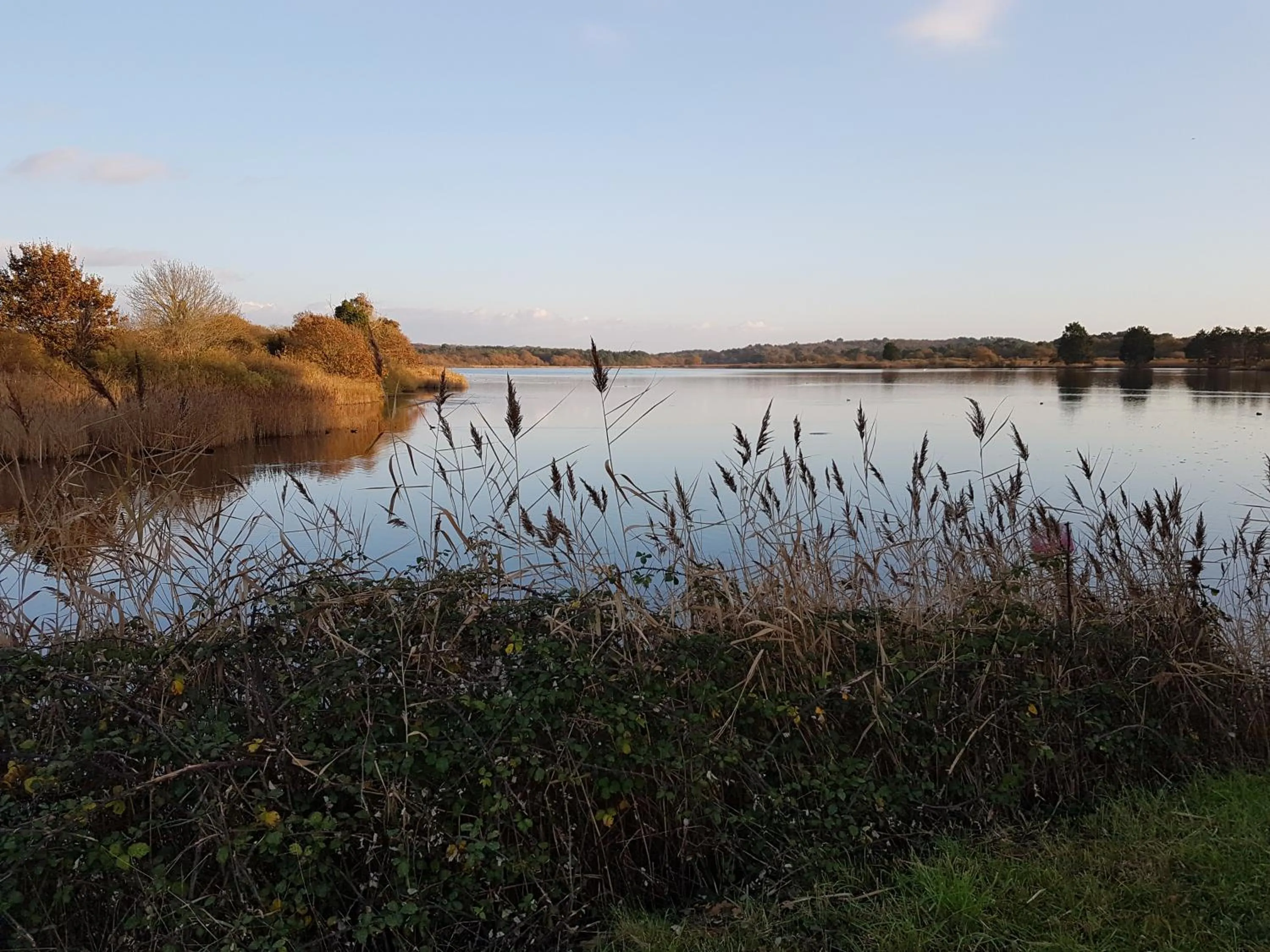 Beach in l'Arbre Voyageur