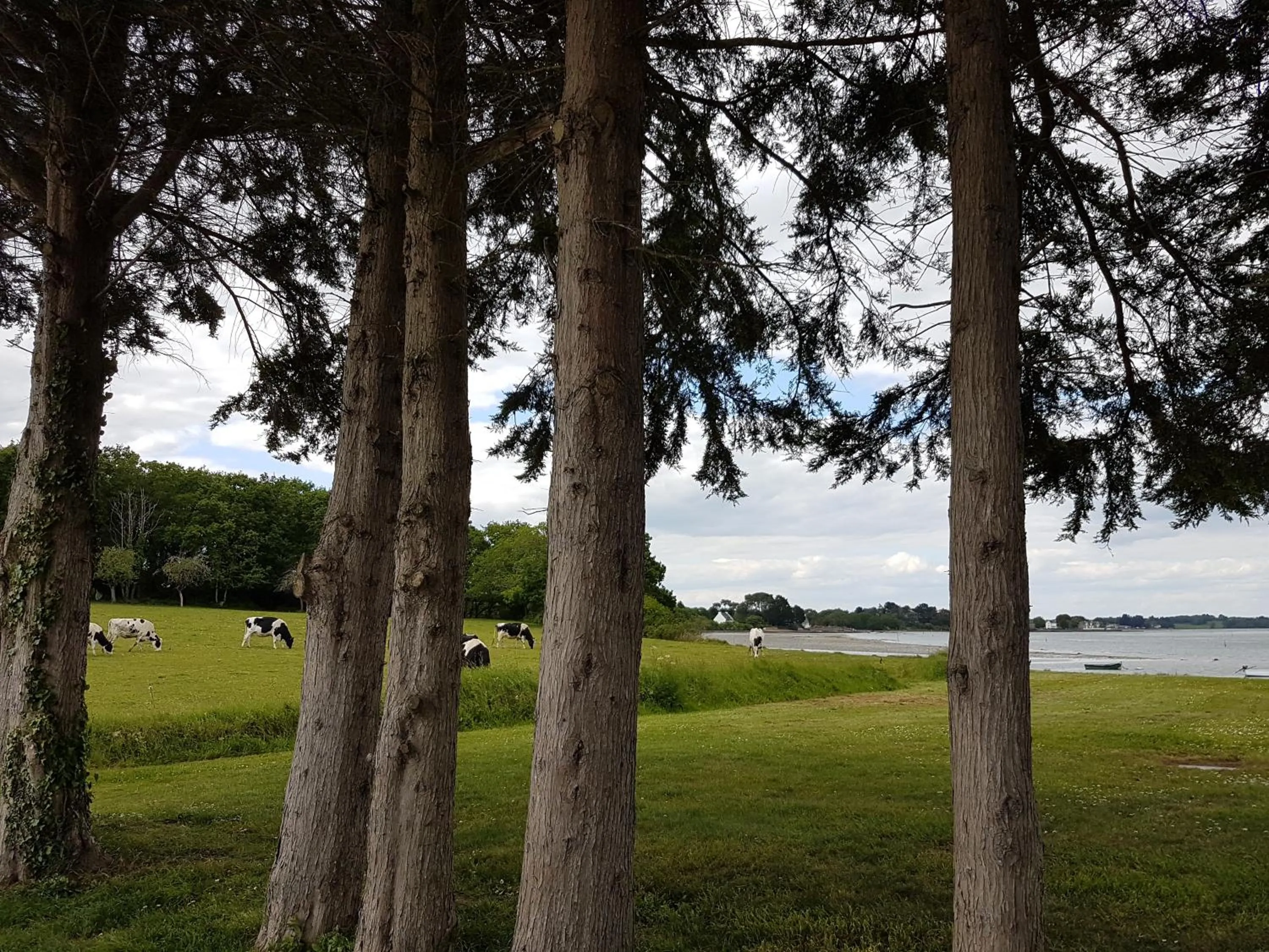 Beach in l'Arbre Voyageur