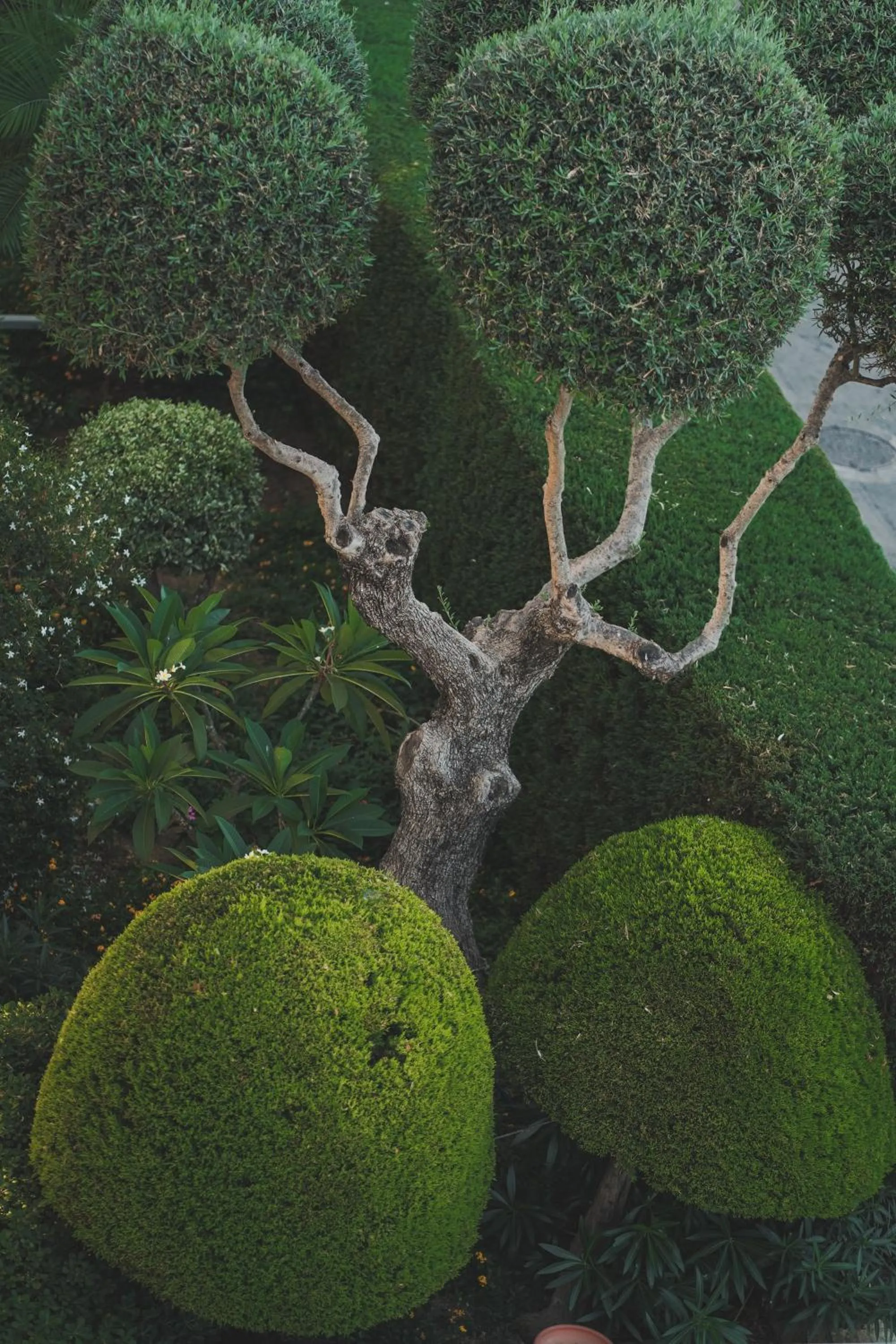 Spring in Zeus Village Resort - Adults Only