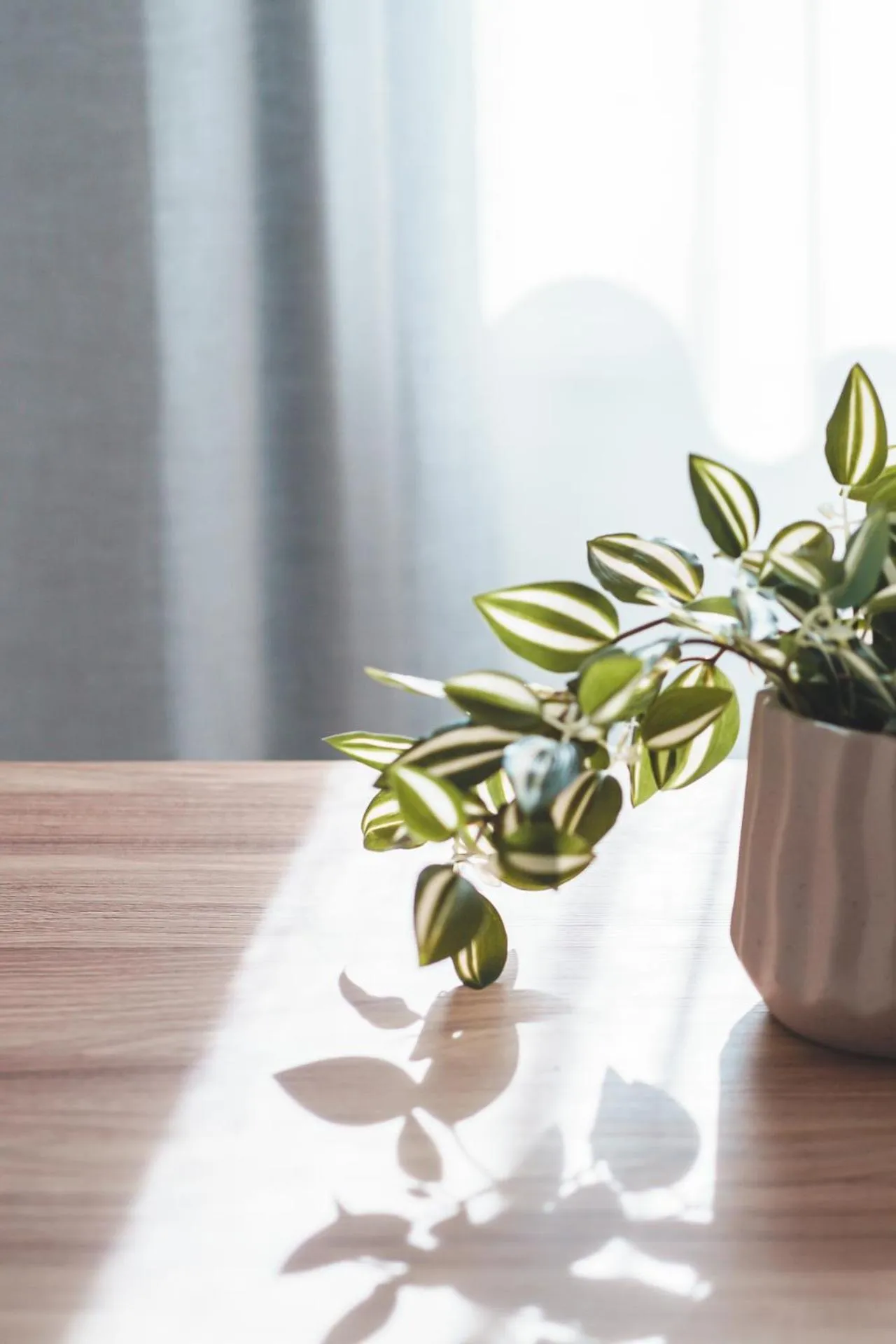 Decorative detail in Zeus Village Resort - Adults Only