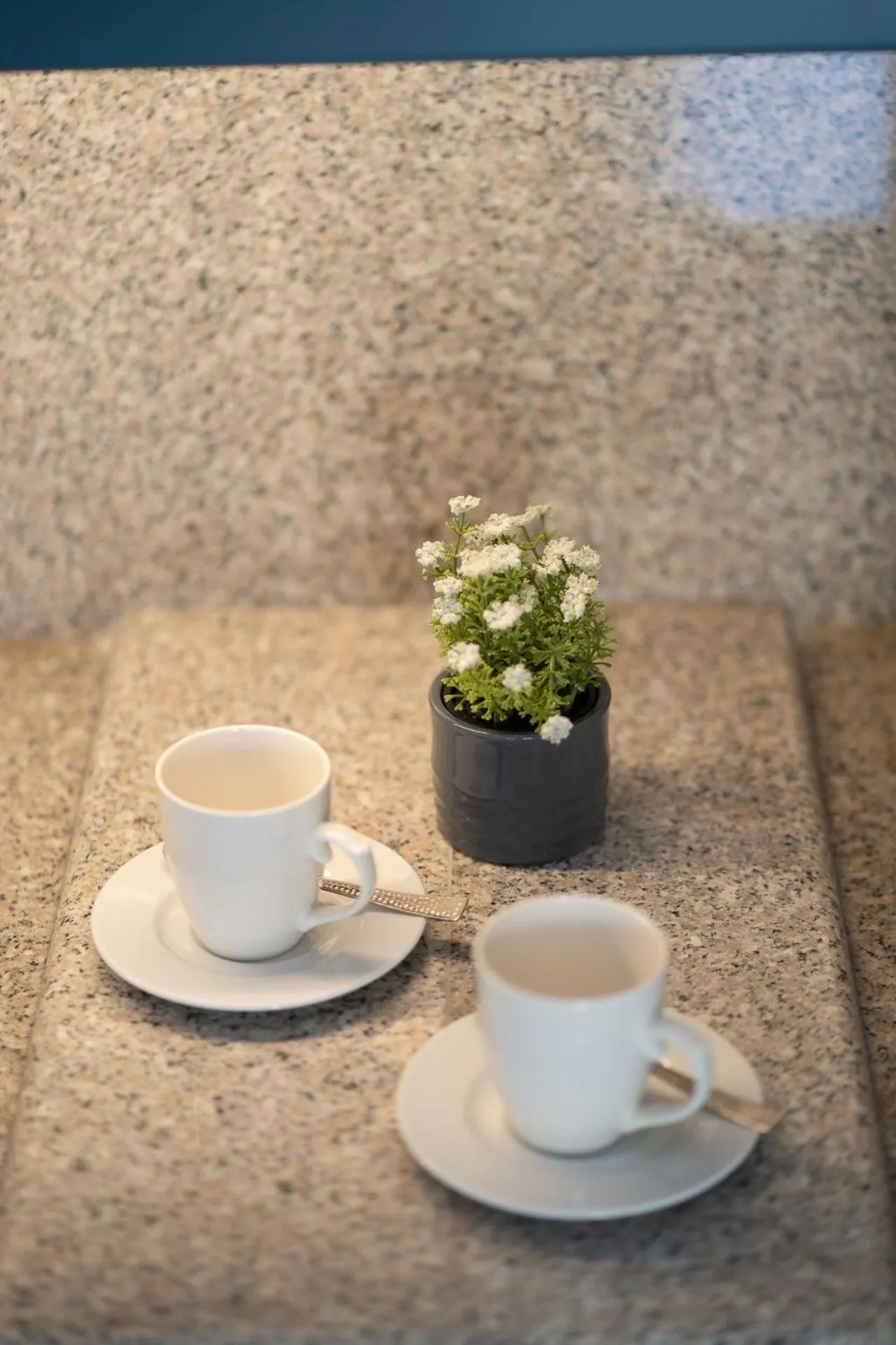 Coffee/tea facilities in Zeus Village Resort - Adults Only